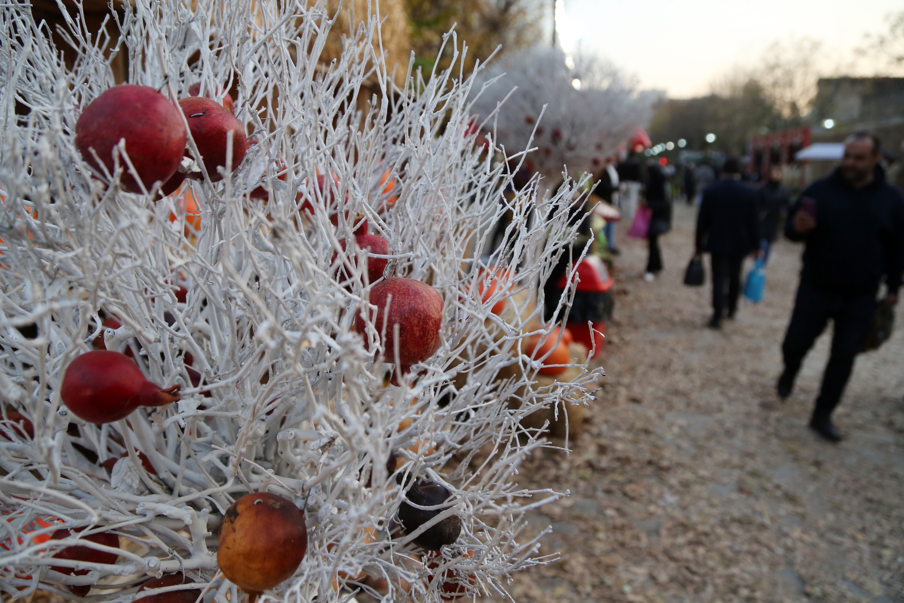 In the foreground, white-painted tree branches festooned with red pomegranates decorate an outdoor holiday market. In the background, people in winter clothes walk, holding plastic bags.