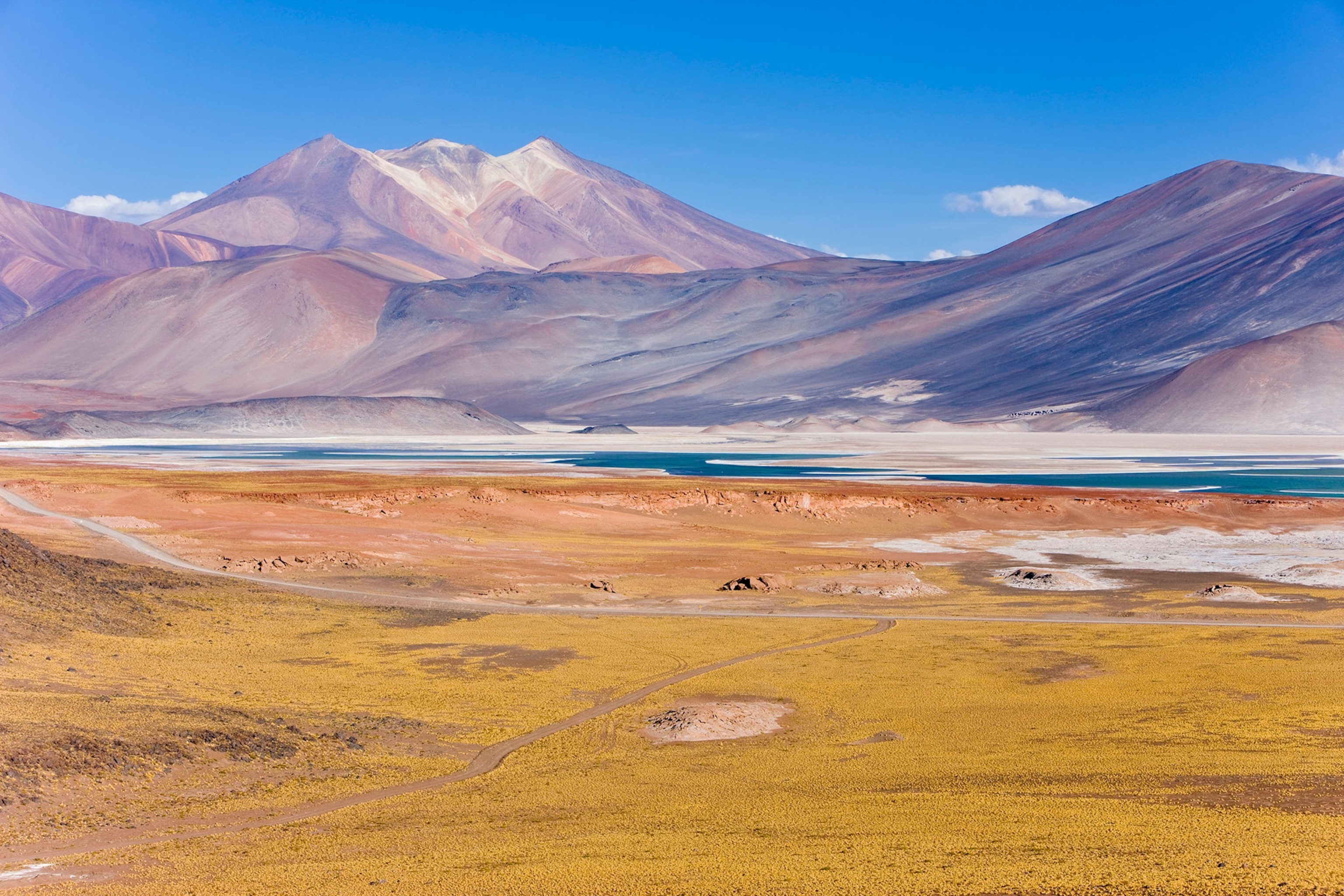 the Atacama desert