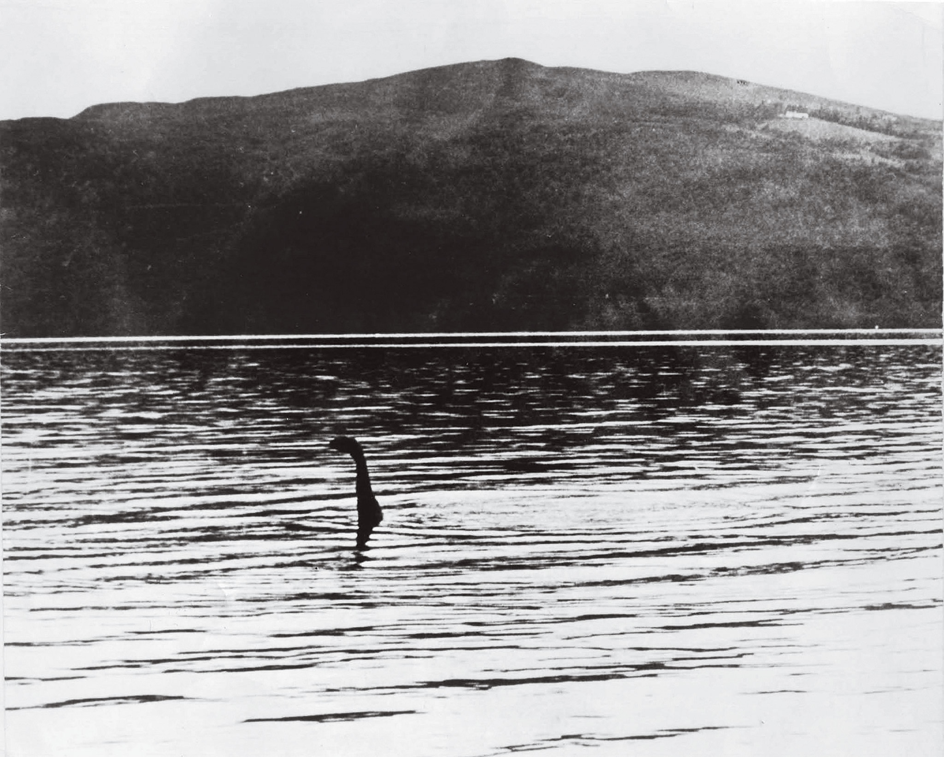 The famous black and white photograph allegedly of Nessie's head and neck rising out of the Loch Ness, with a hill in the background