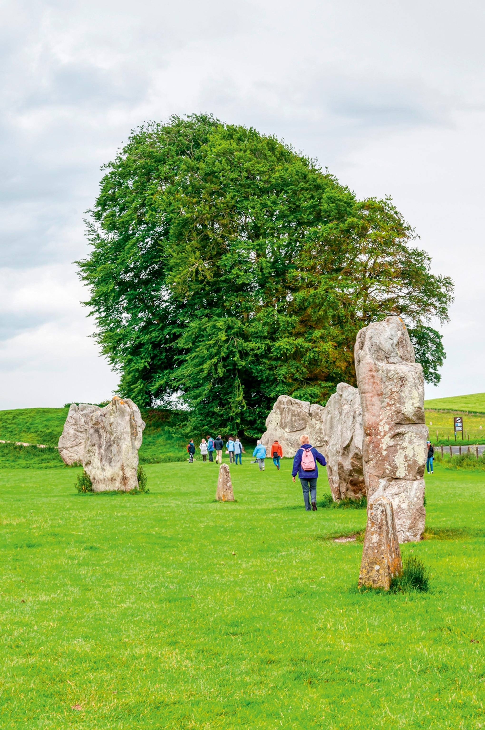 A circular arrangement of vertical stones on a grassy field with a tree in the background
