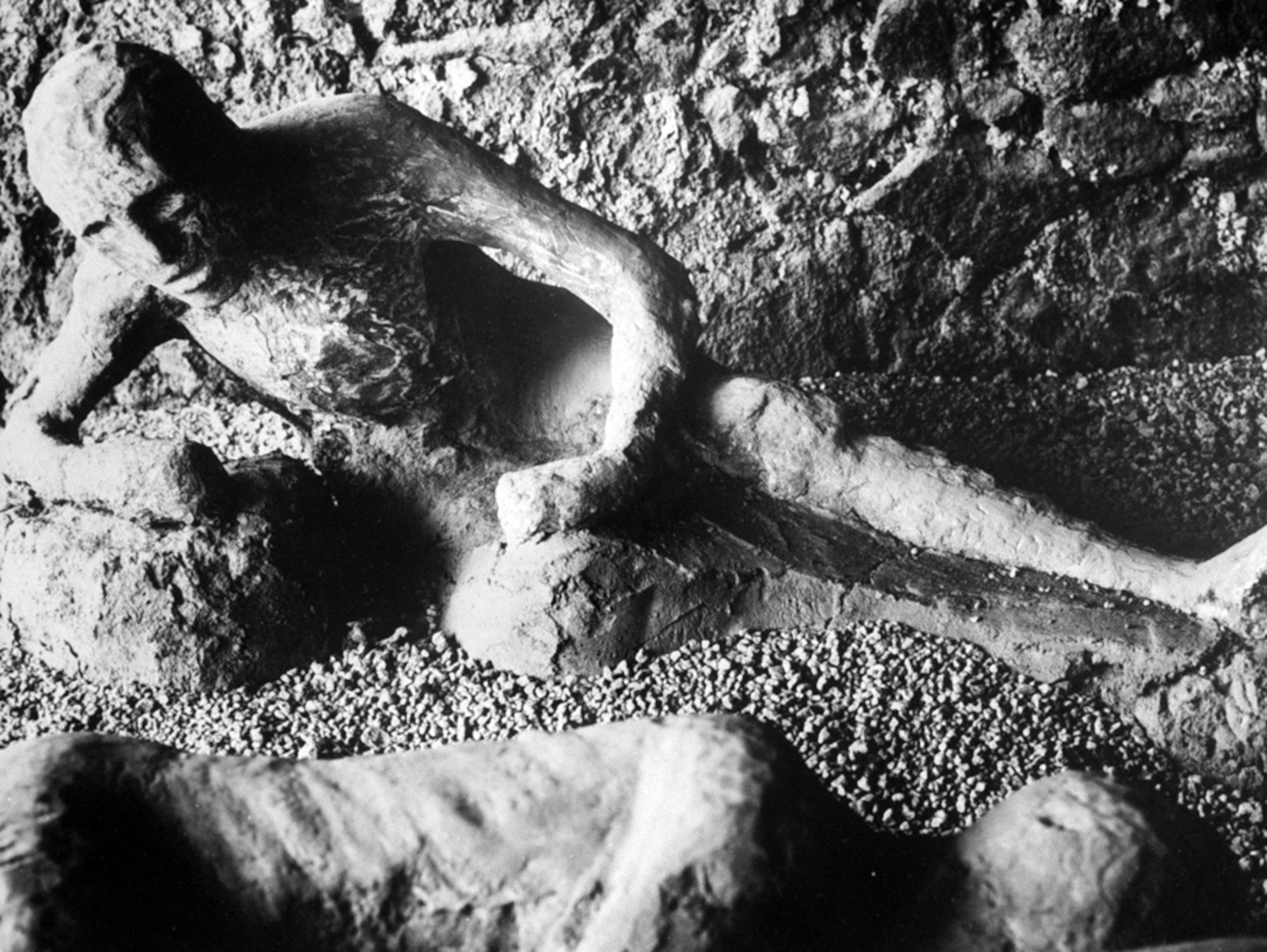 Cast of Pompeii victim
