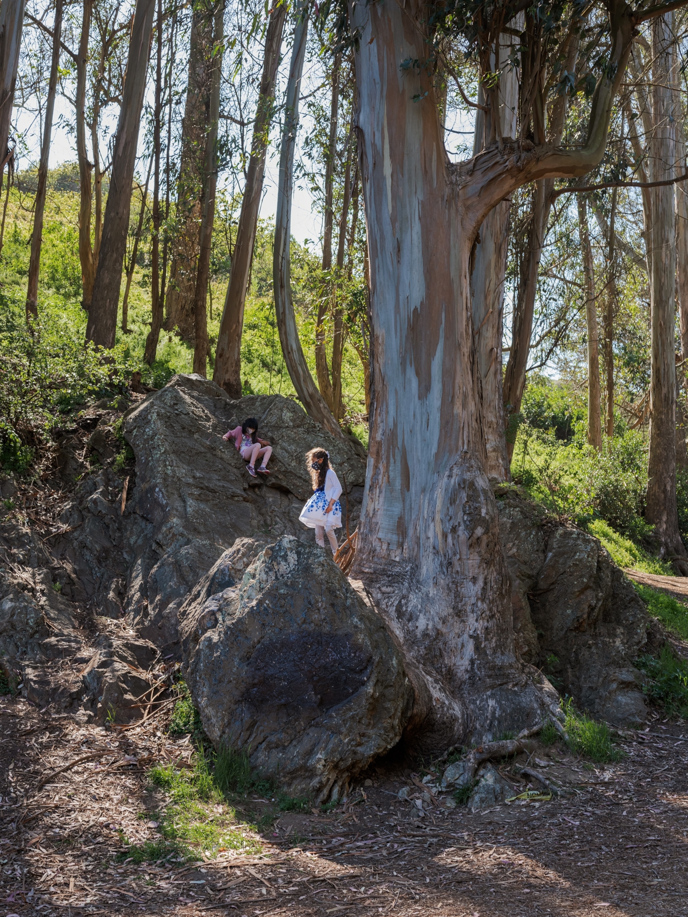 Two children play in the woods of Glen Canyon Park