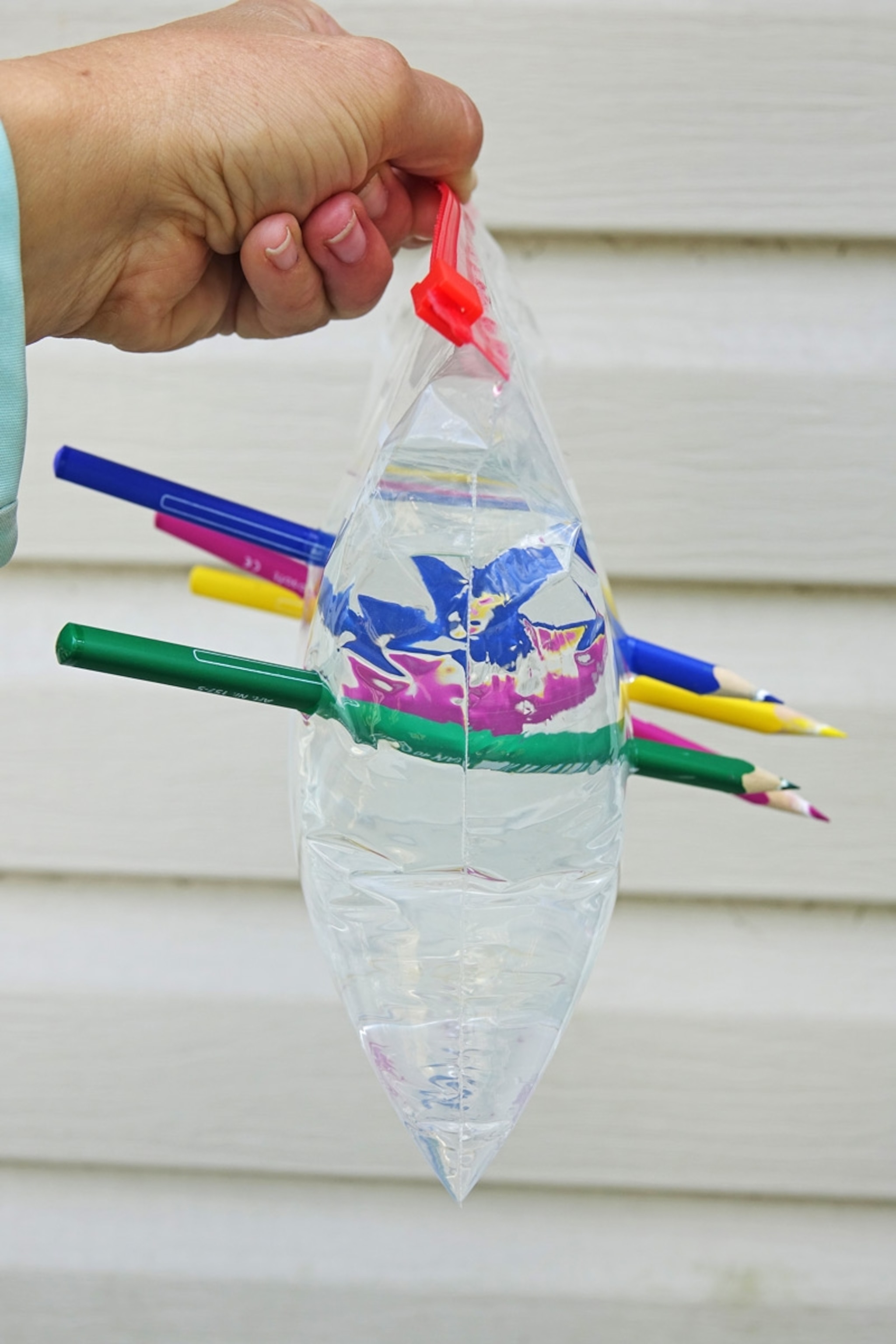 A zip-loc bag filled with water with colored pencils protruding from either side. Maryland