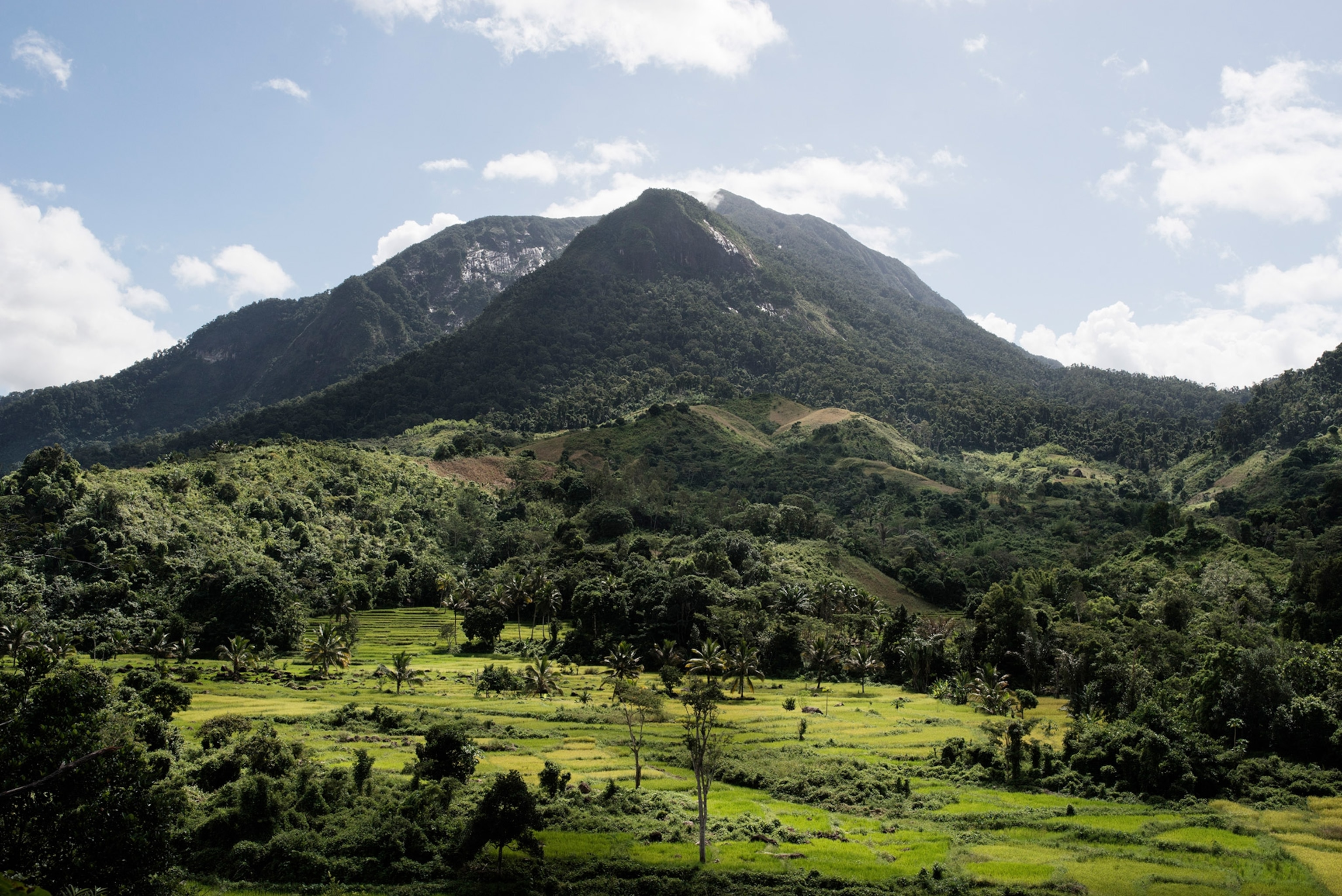 the landscape near the Marojejy National Park in Madagascar