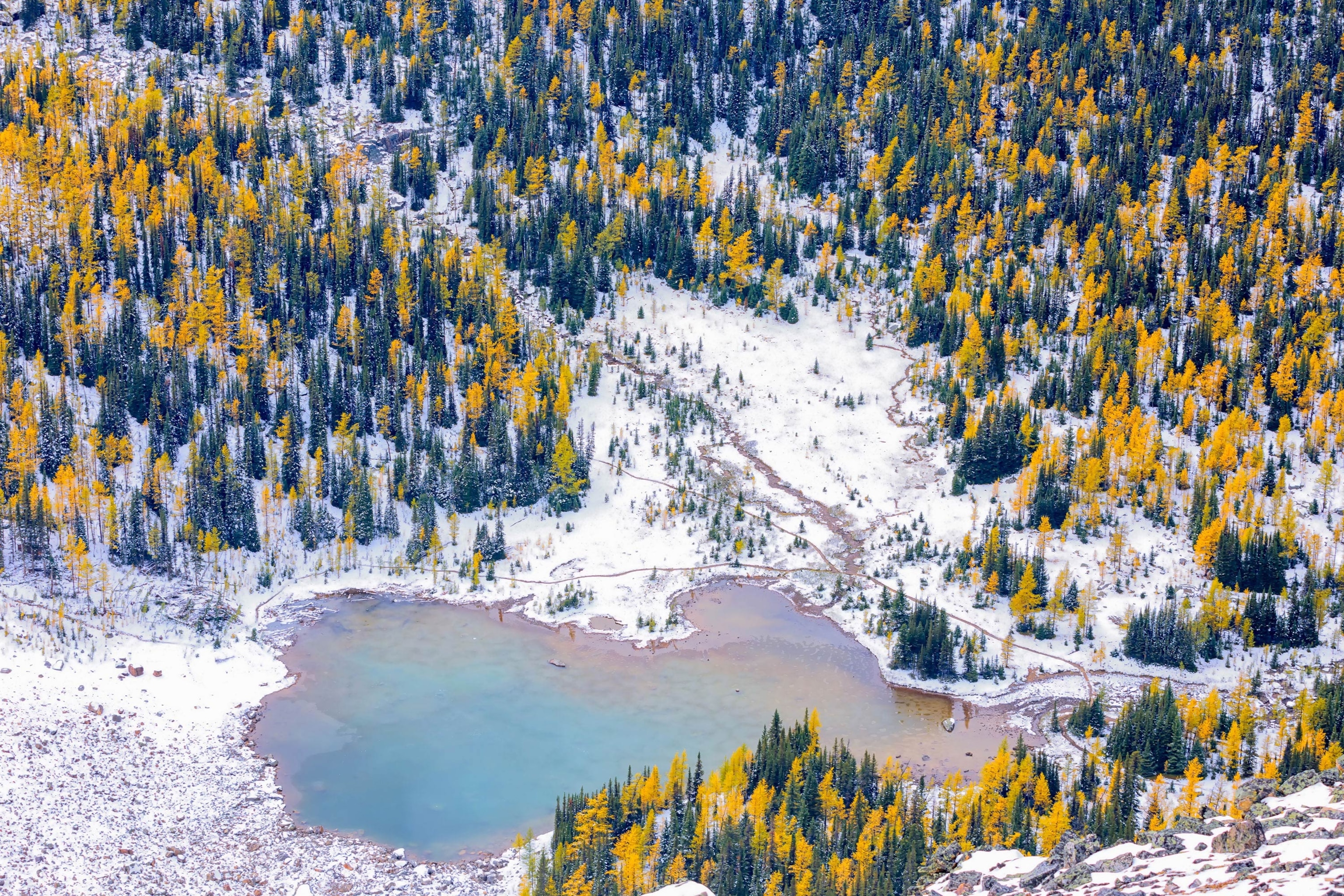an aerial view of Schäffer Lake