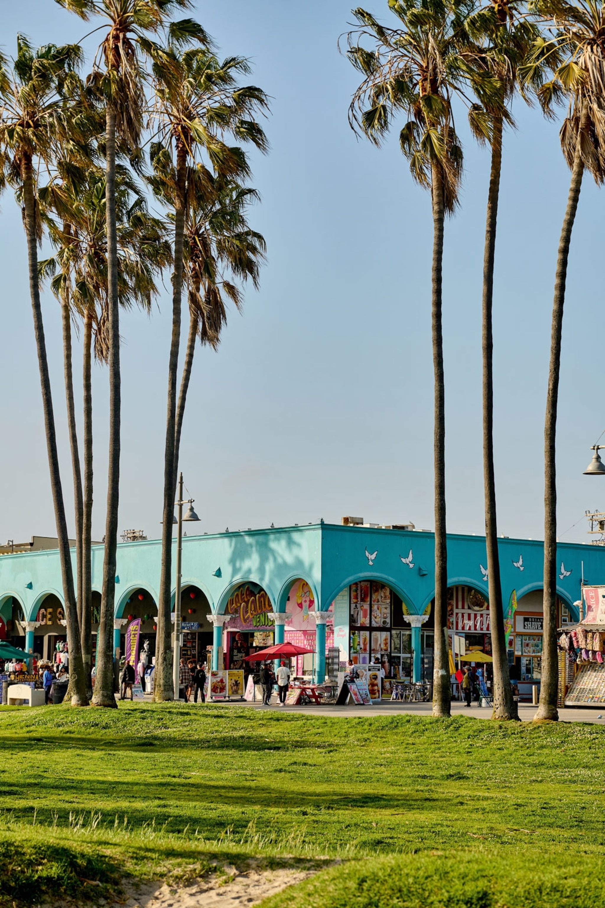 Building surrounded by palm trees