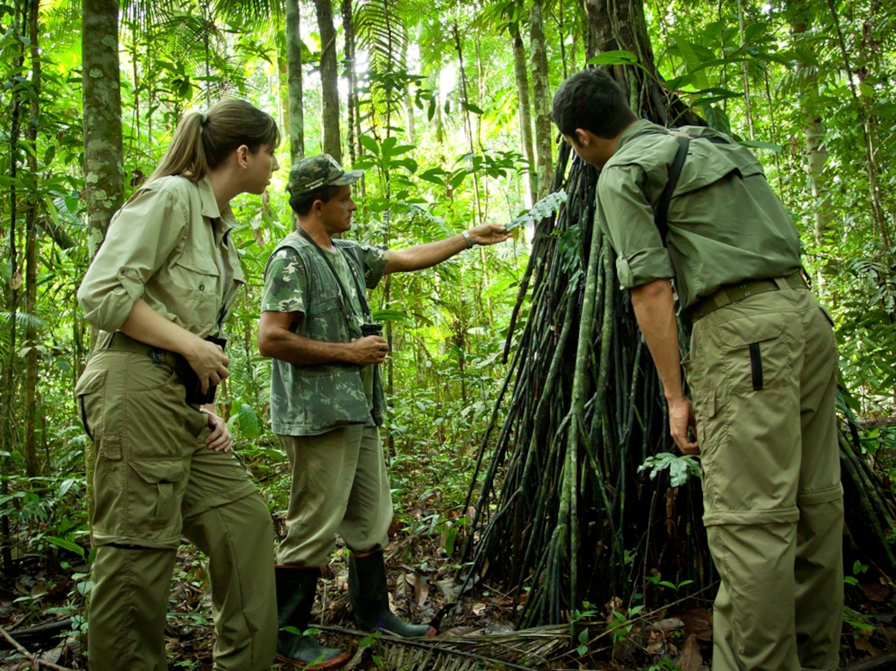 Cristalino Jungle Lodge in Brazil