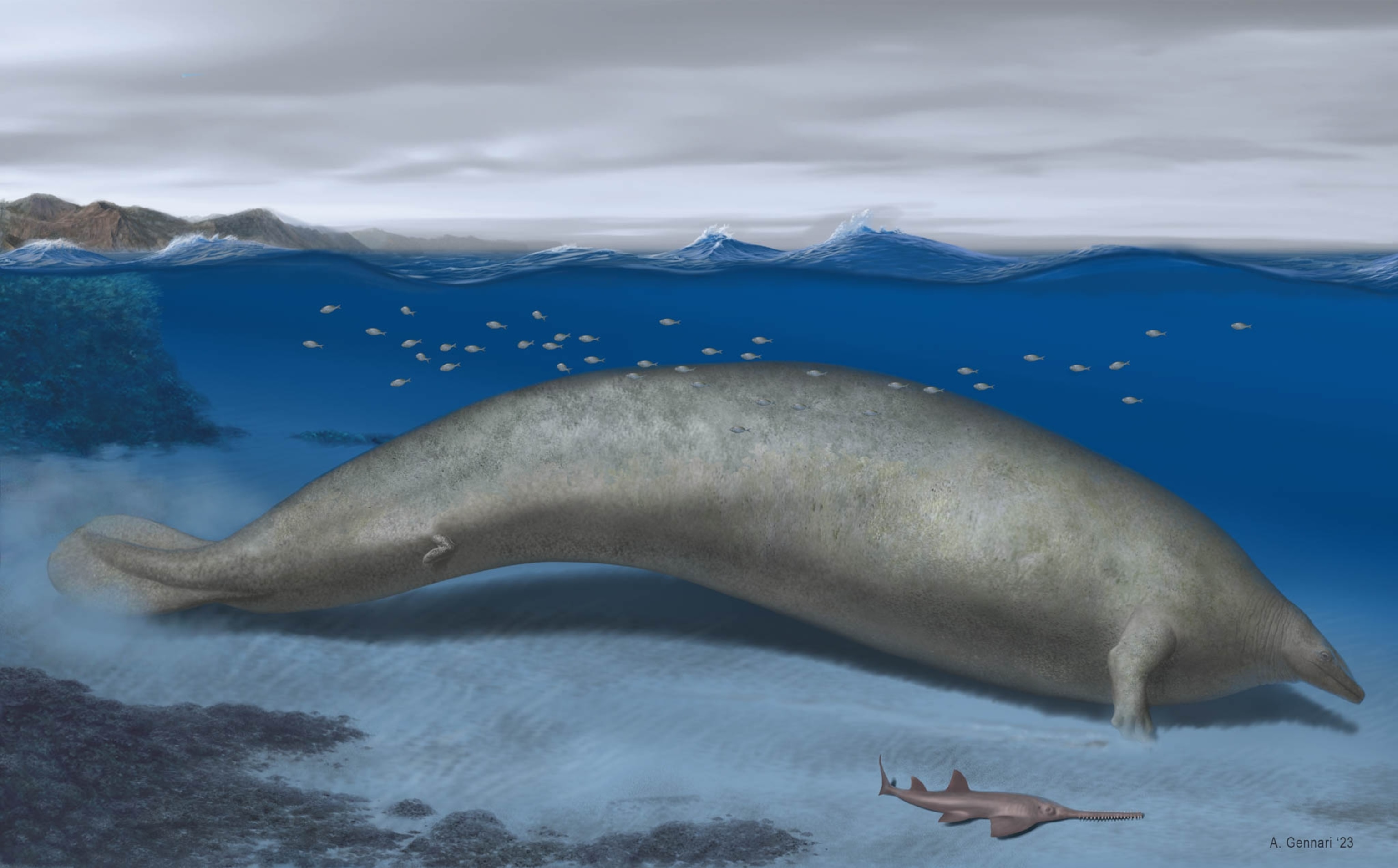 Reconstruction of Perucetus colossus in its coastal habitat