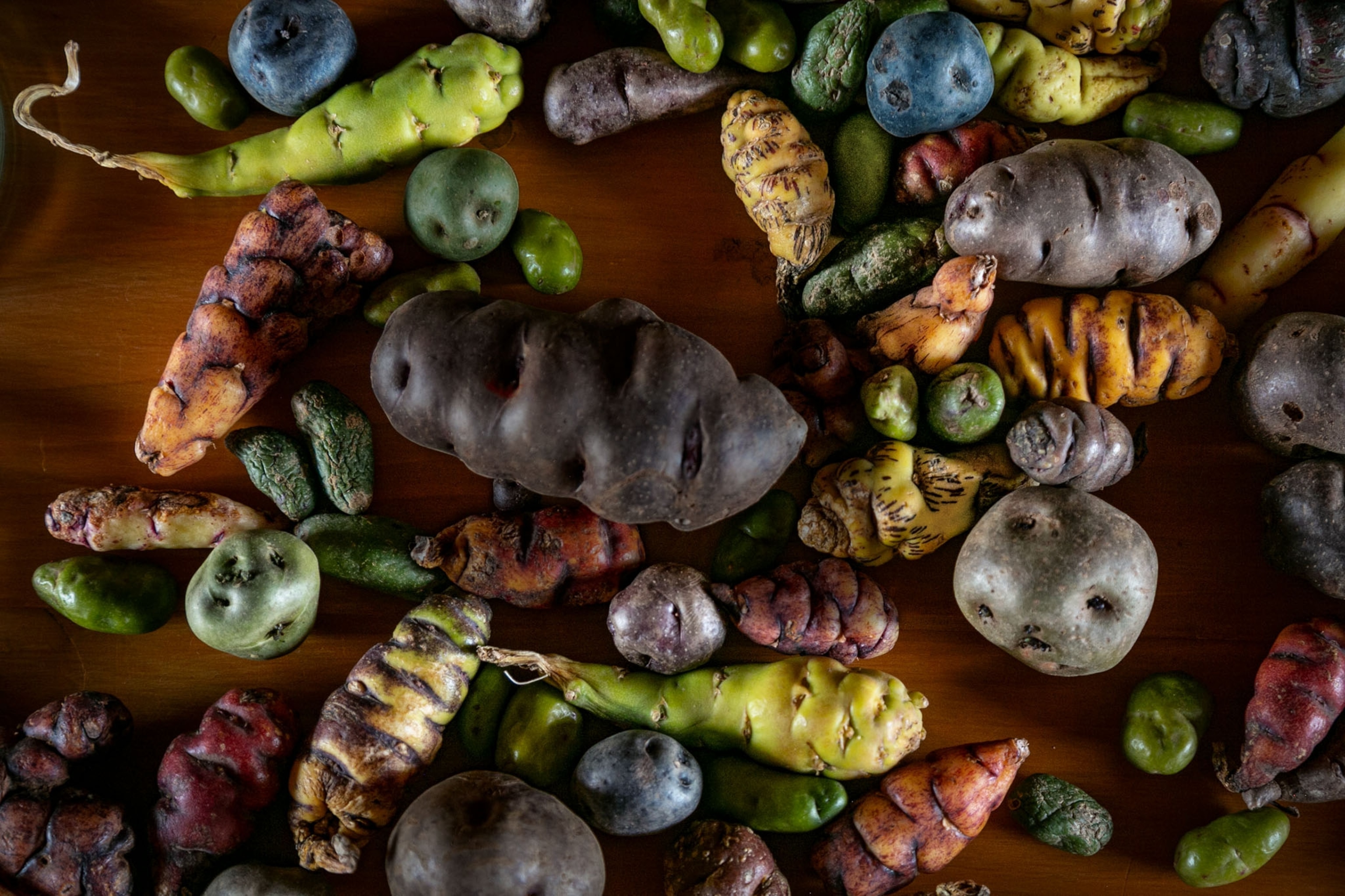 potatoes of different shapes and color from yellow to blue.