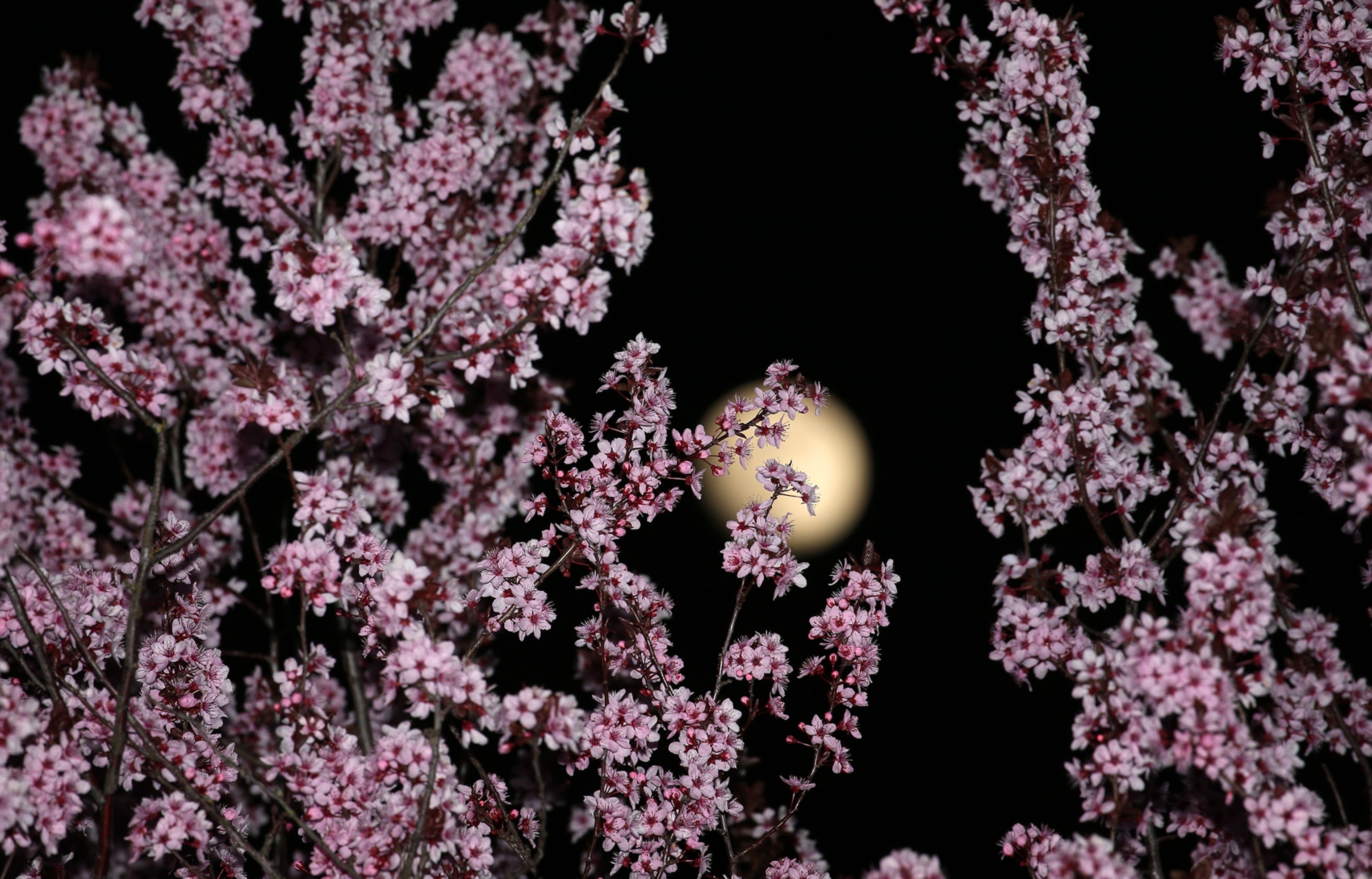 a full moon