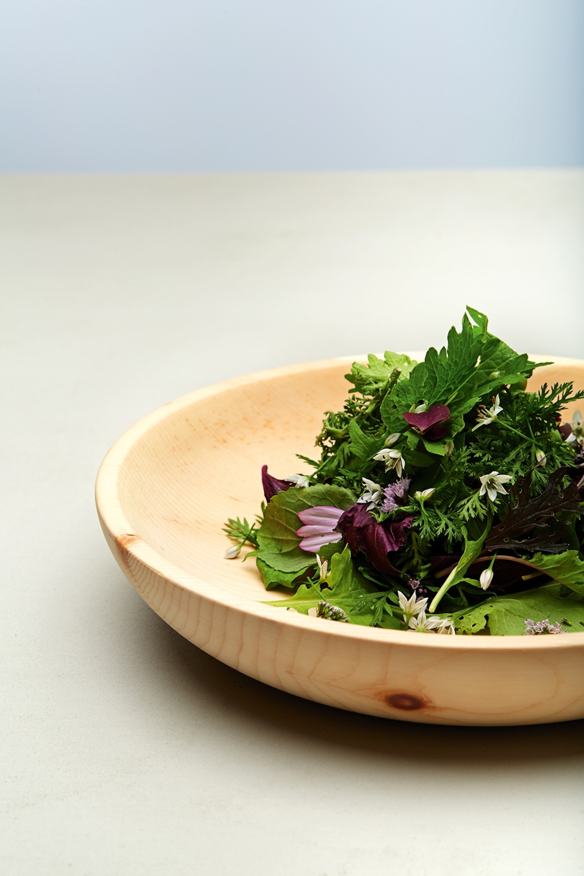 A bowl of salad made from ingredients from the on-site organic garden, Forestis, Italy.