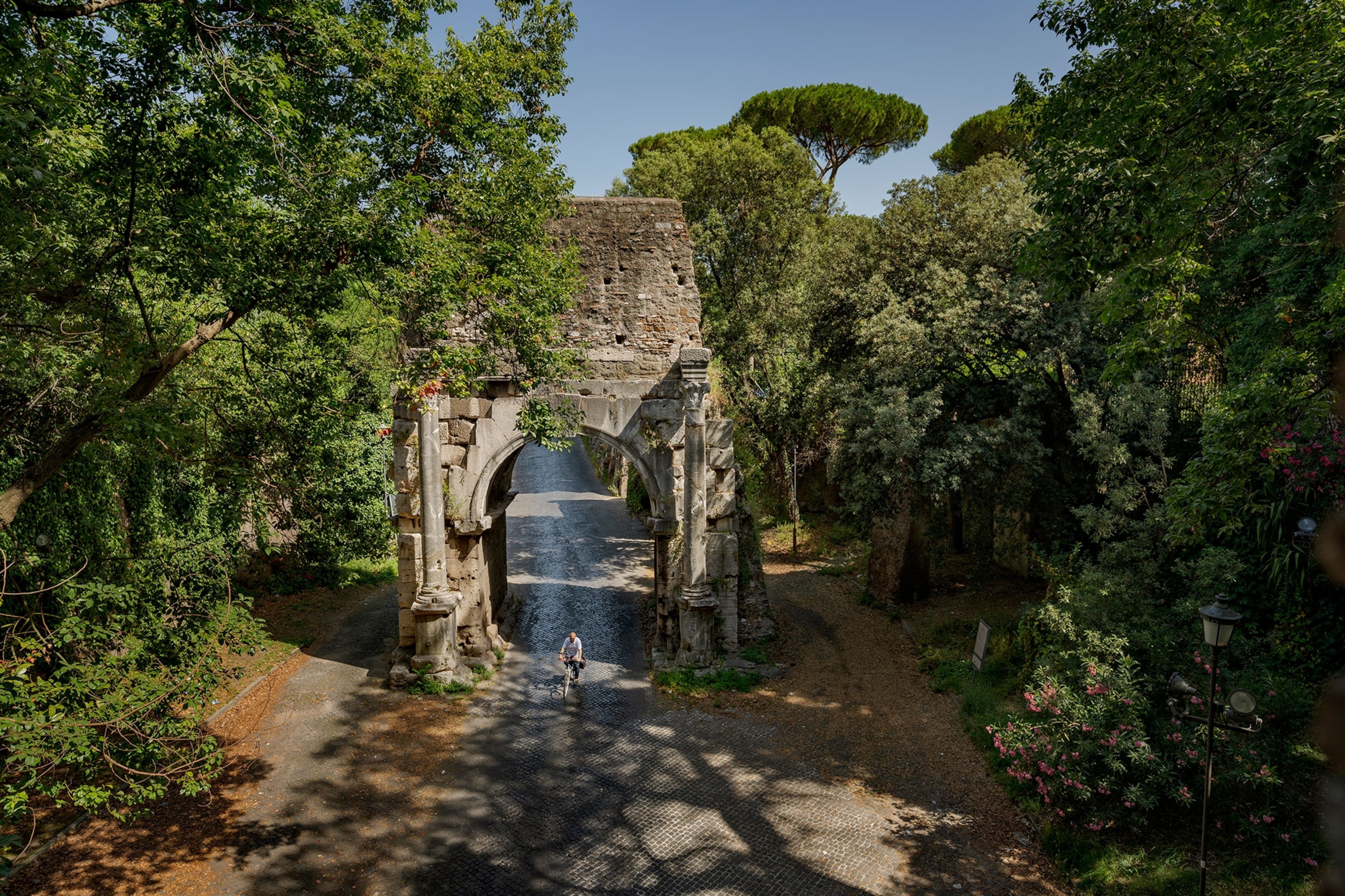 Aerial view of a person riding a bike through an archway surrounded by tall green trees.