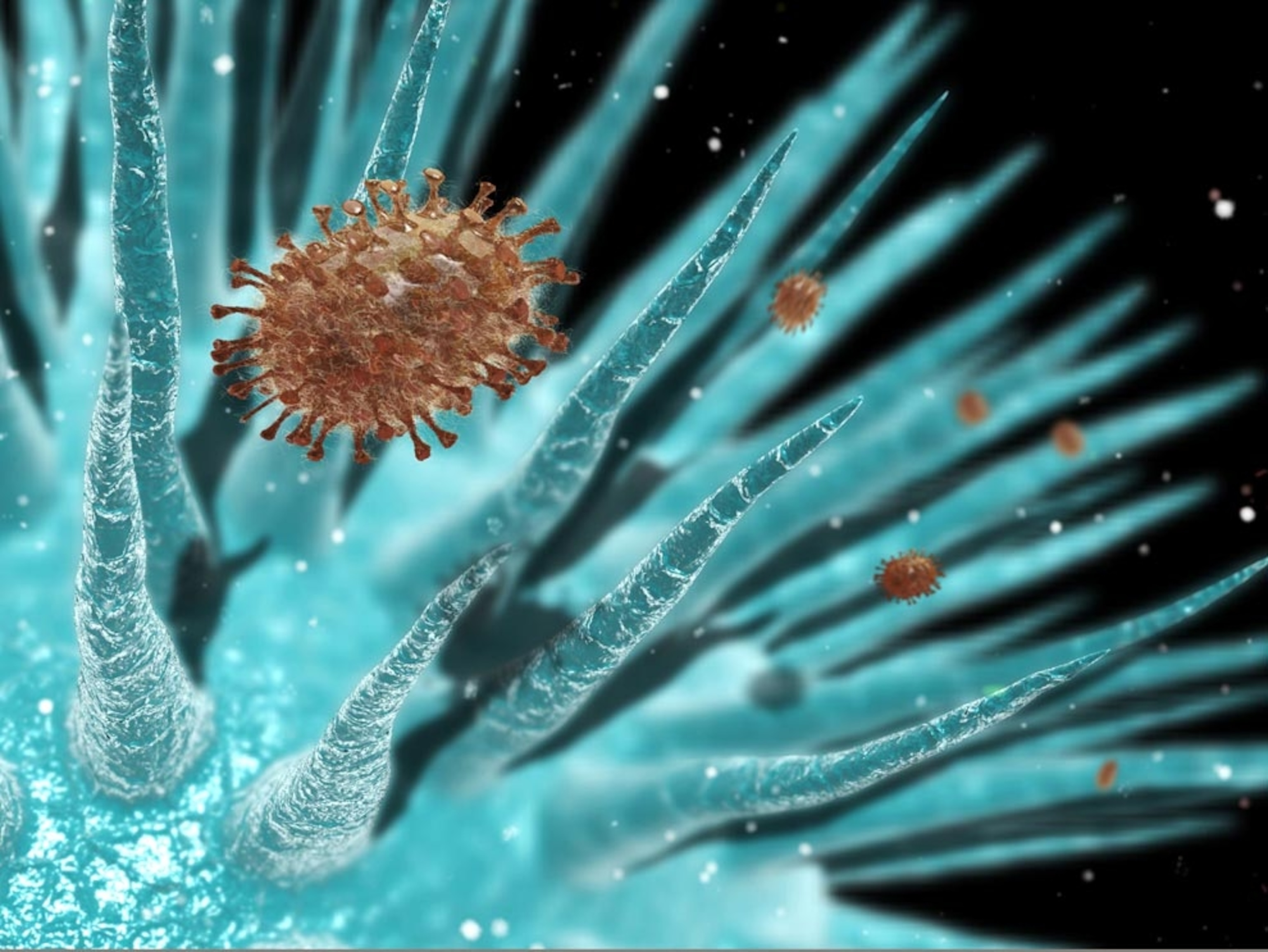 Flu virus