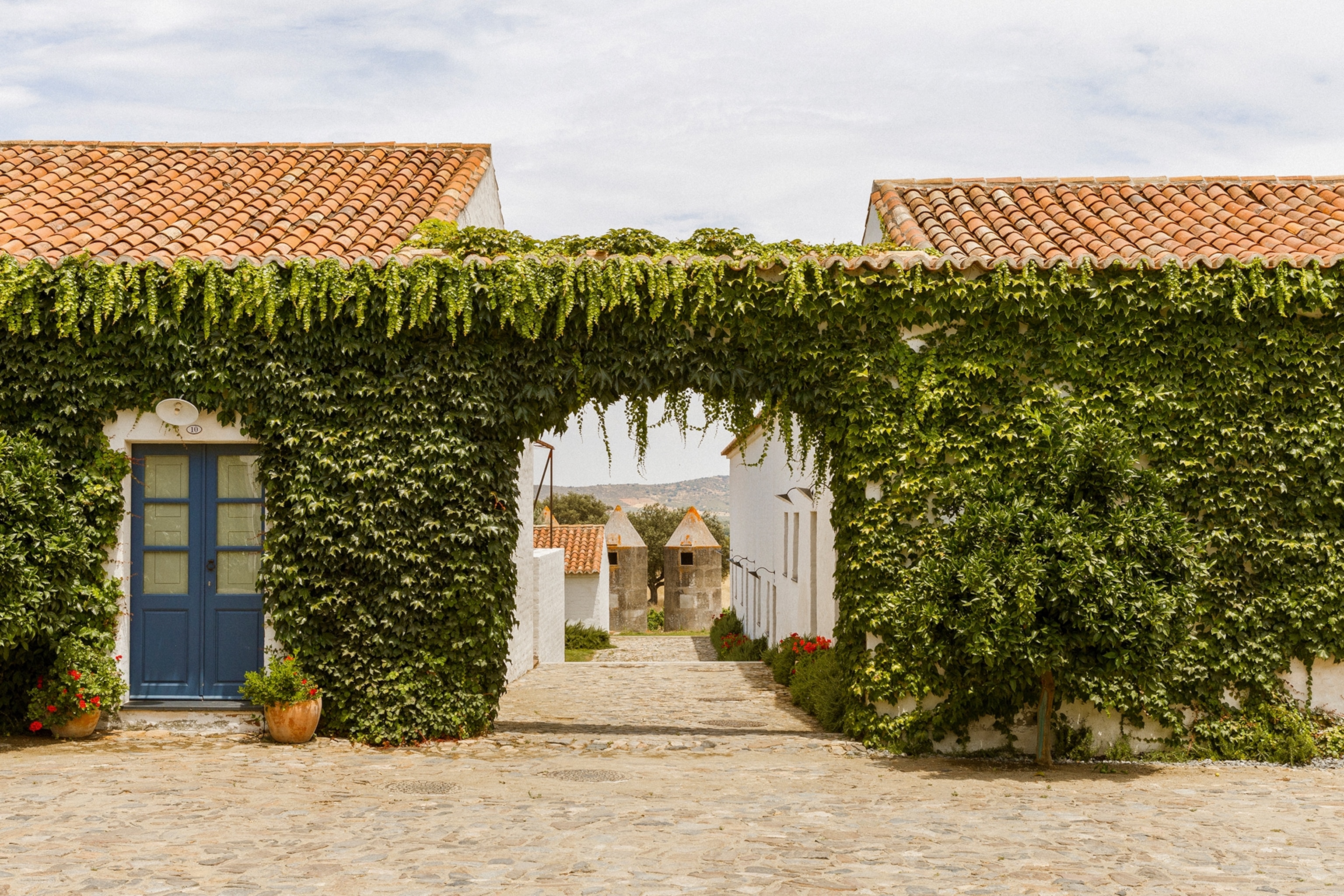 The symmetrical arched entrance into the courtyard of a farm house, overgrown with greenery.