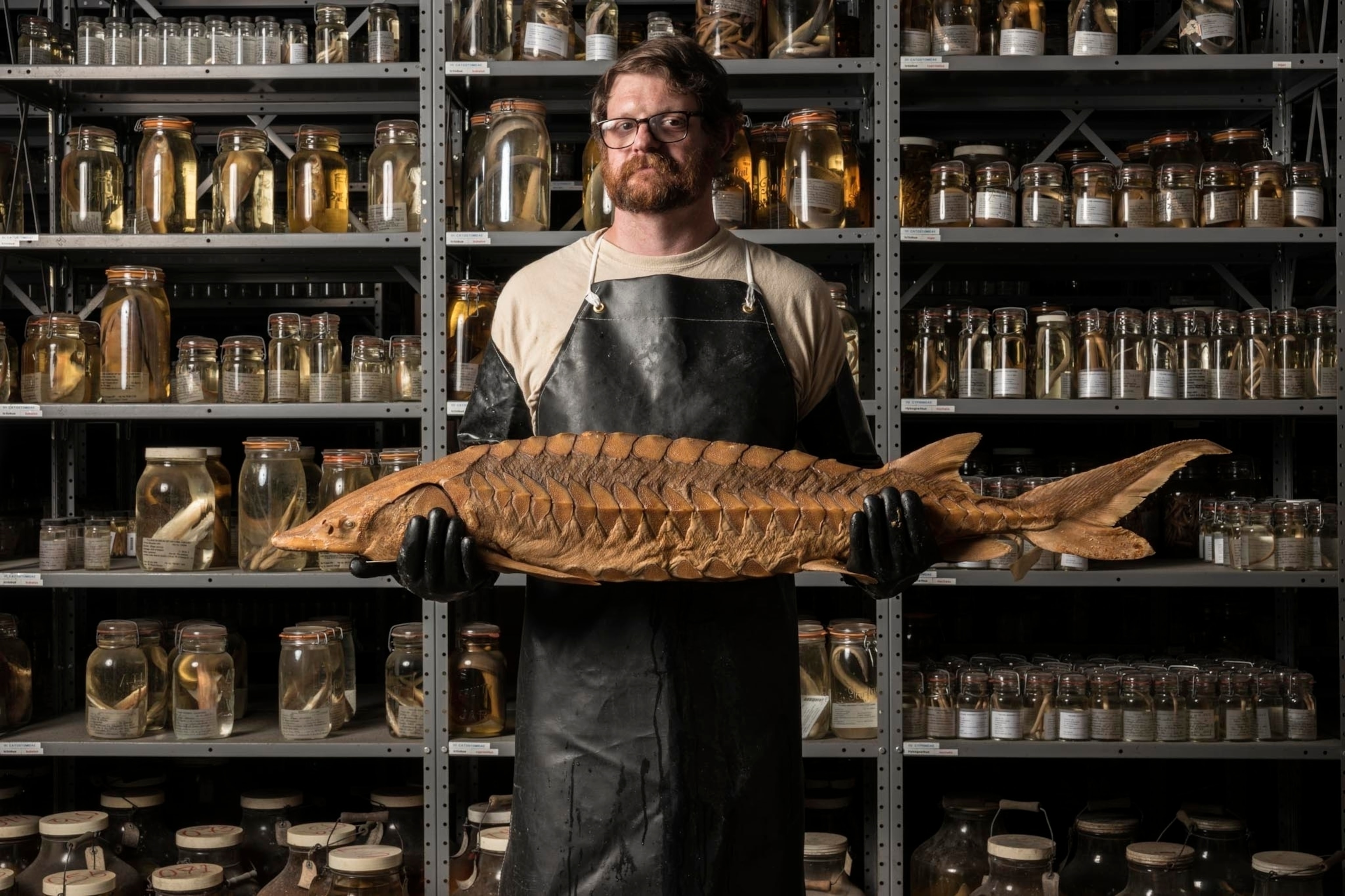 the collections manager holding a sturgeon