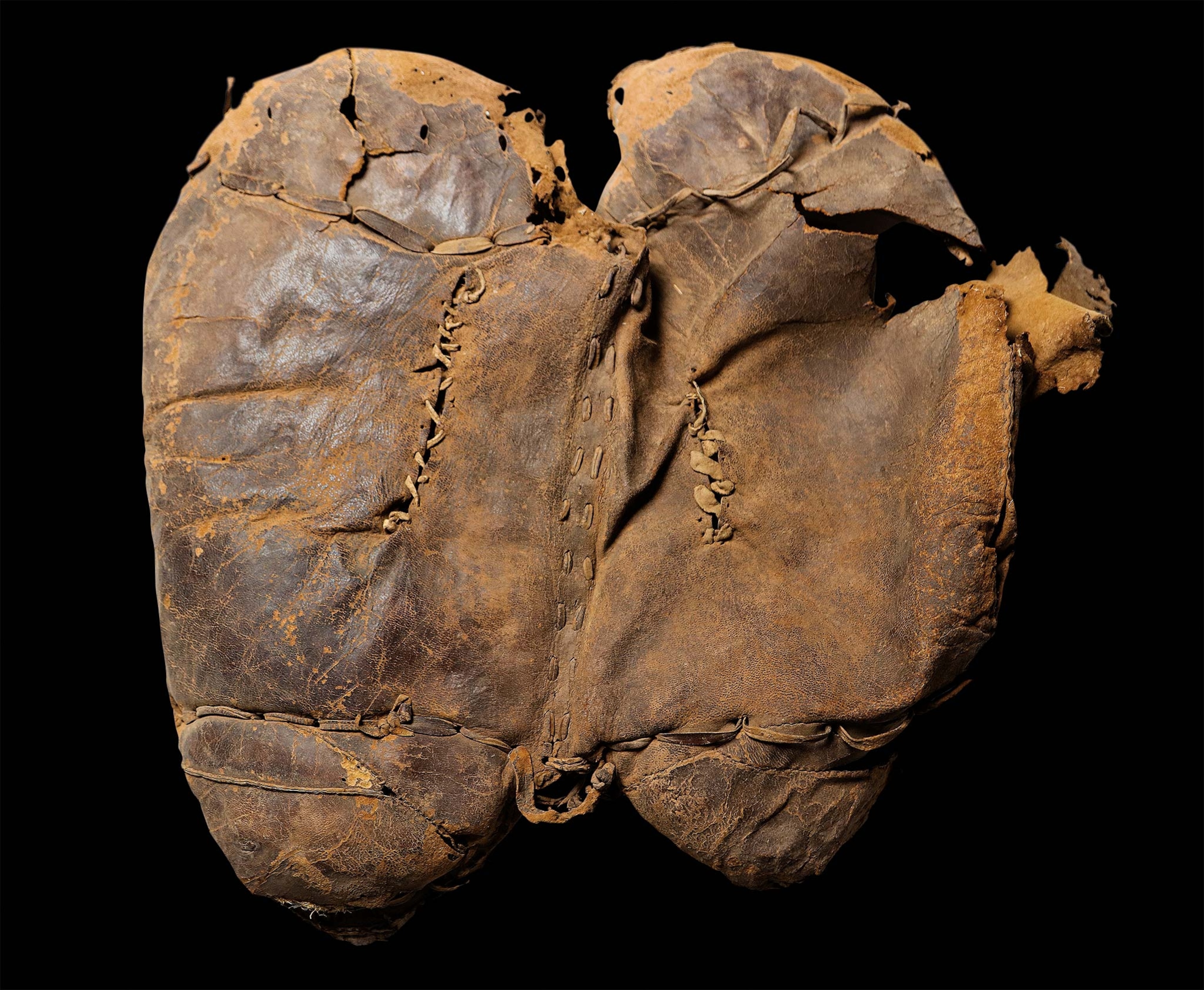 An overhead view of the saddle found at Yanghai