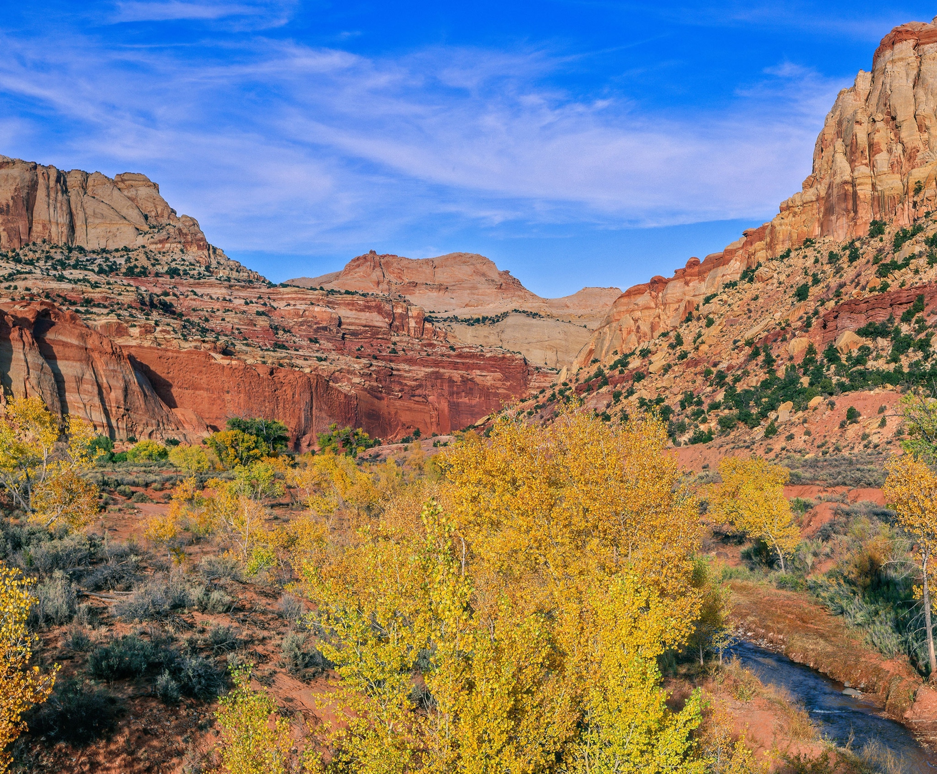A landscape of red and tan colored desert mountains filled with yellow and orange fall colored trees. A small stream flows through the bottom right of the frame.