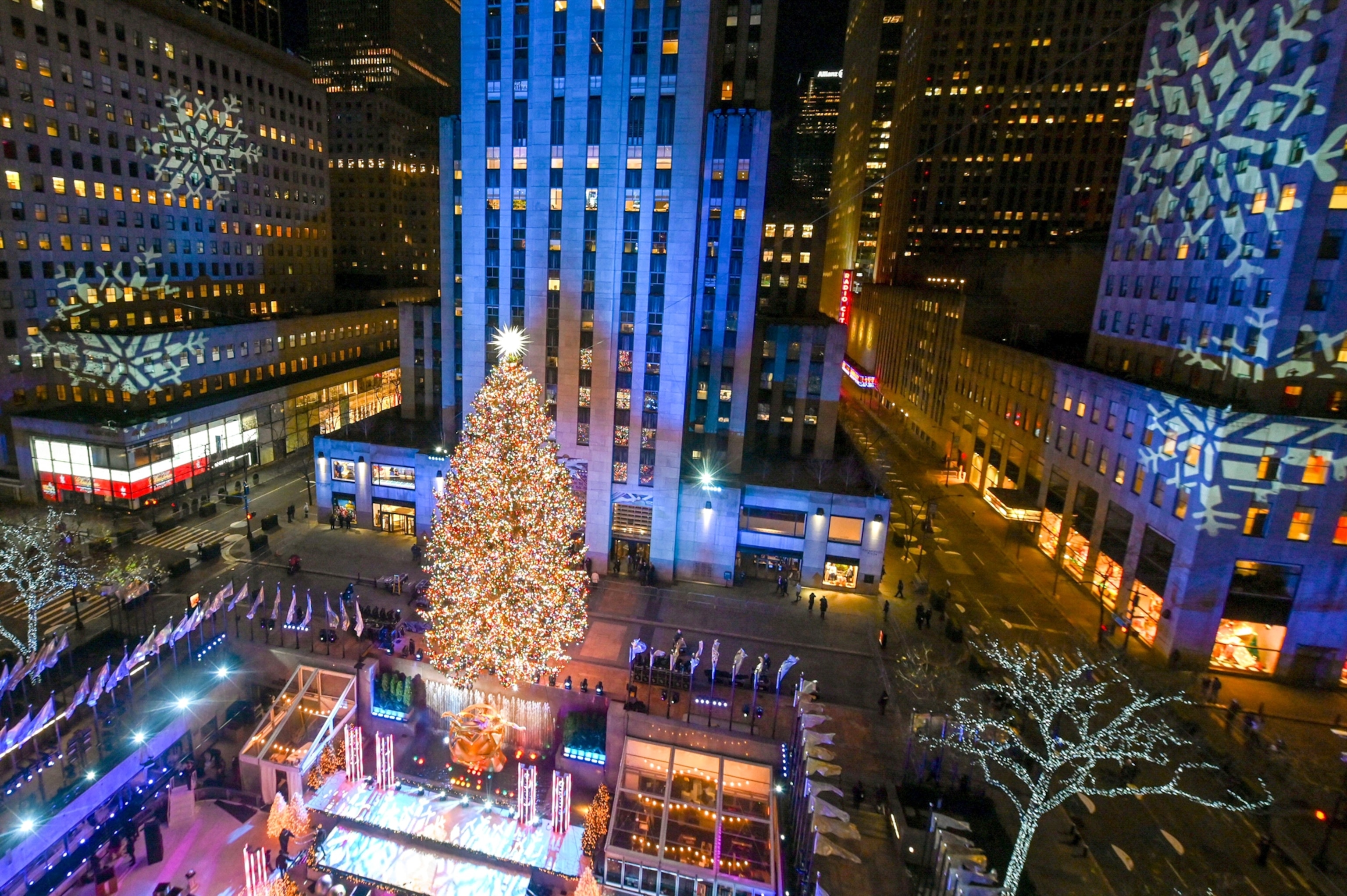 The Rockefeller Center Christmas Tree stands lit in New York