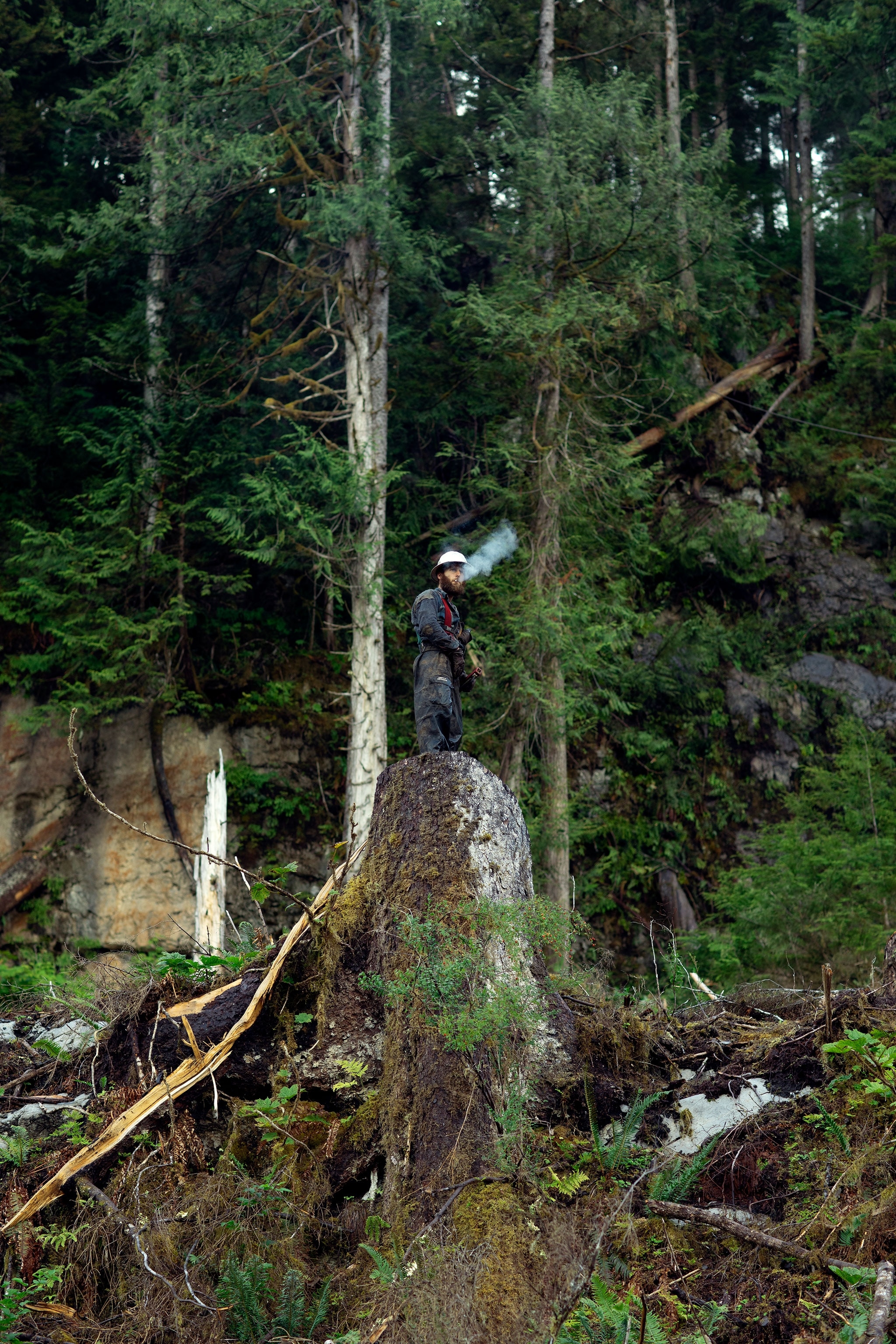 a logger on a smoke break standing on a large old-growth stump