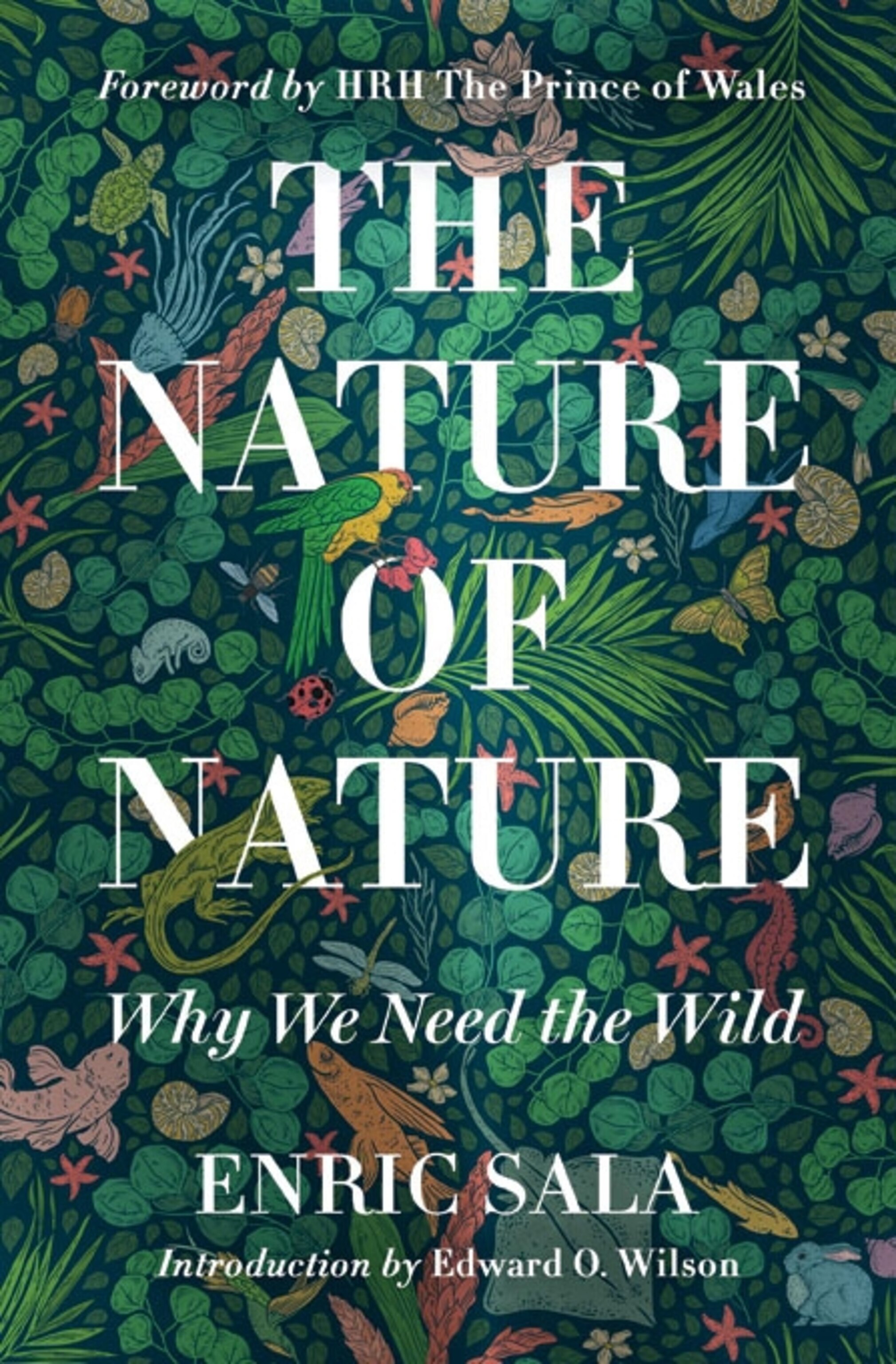 book cover.