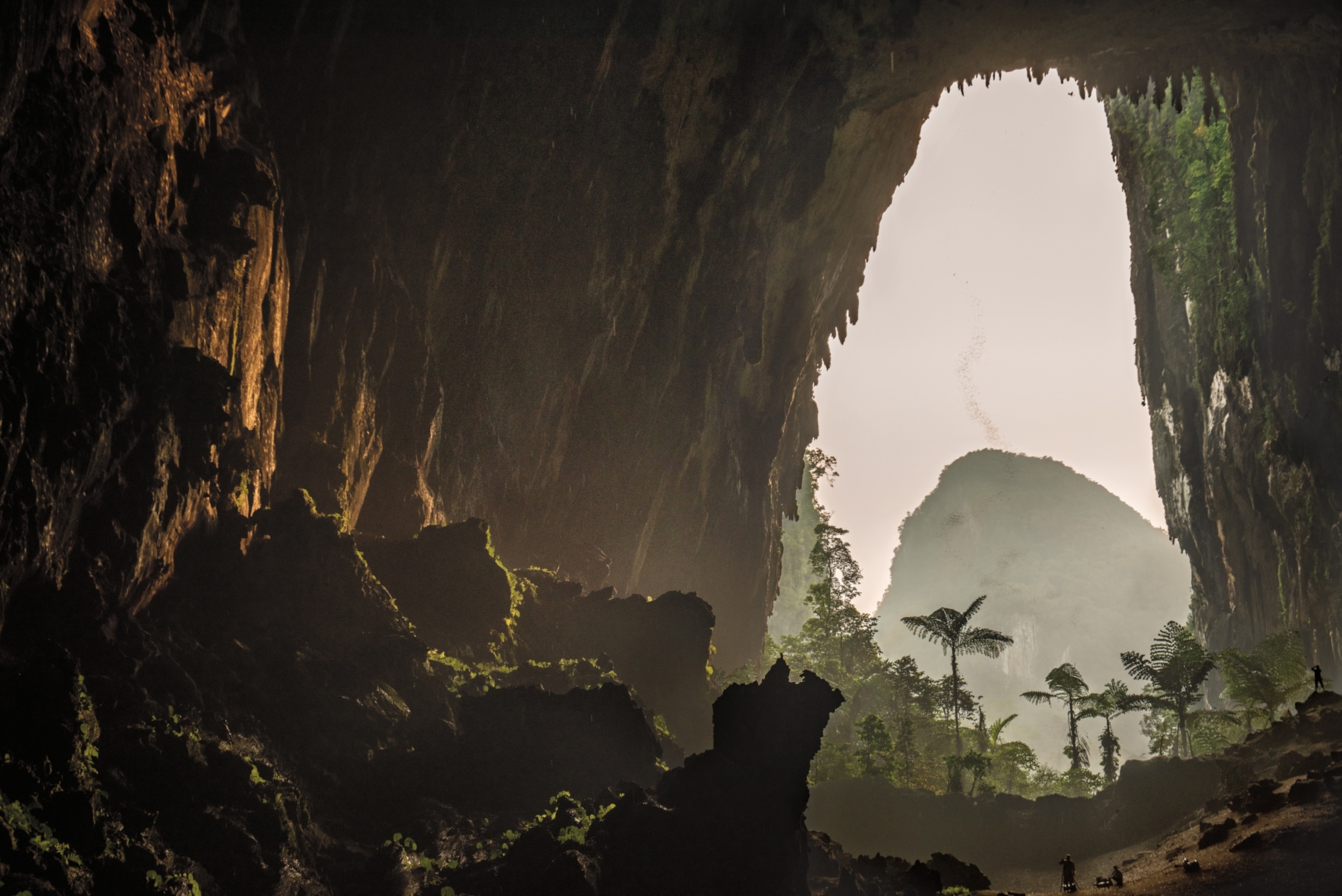 a swarm of bats in the pink sky in the cave entrance.
