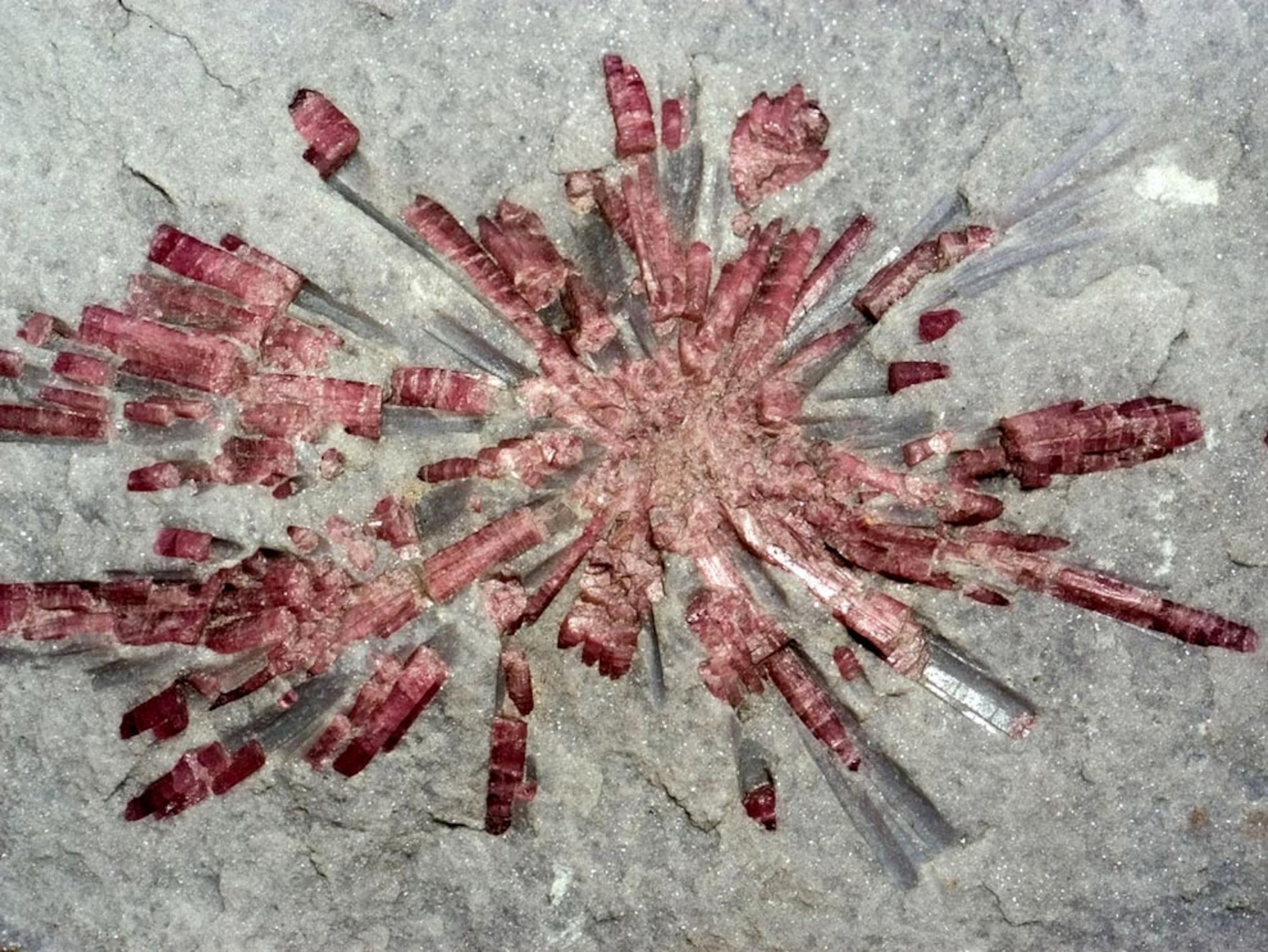 Red tourmaline