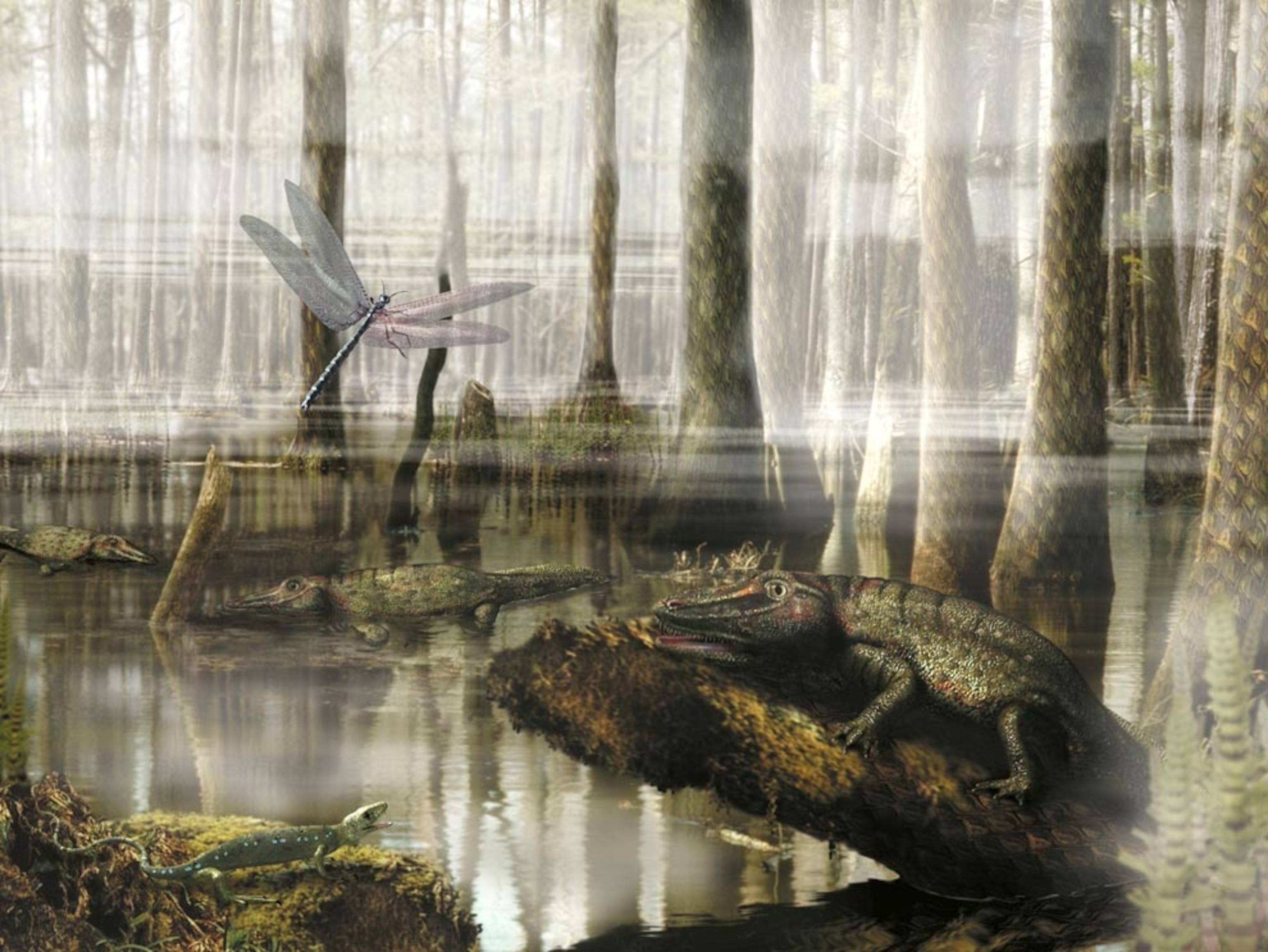 Image: Artist's rendering of prehistoric swamp forest landscape.