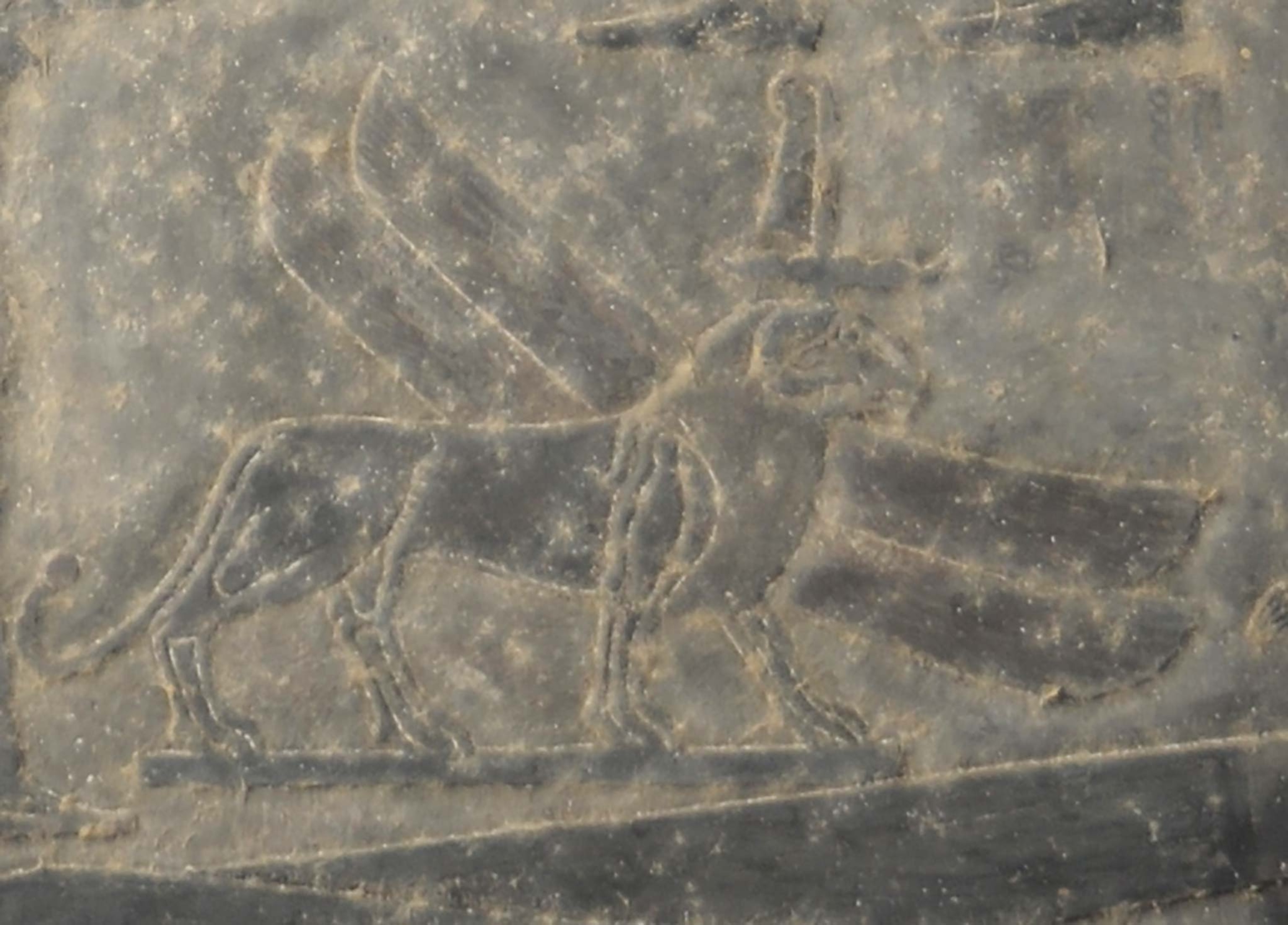 A soot-covered carving of a winged lion with a ram's head