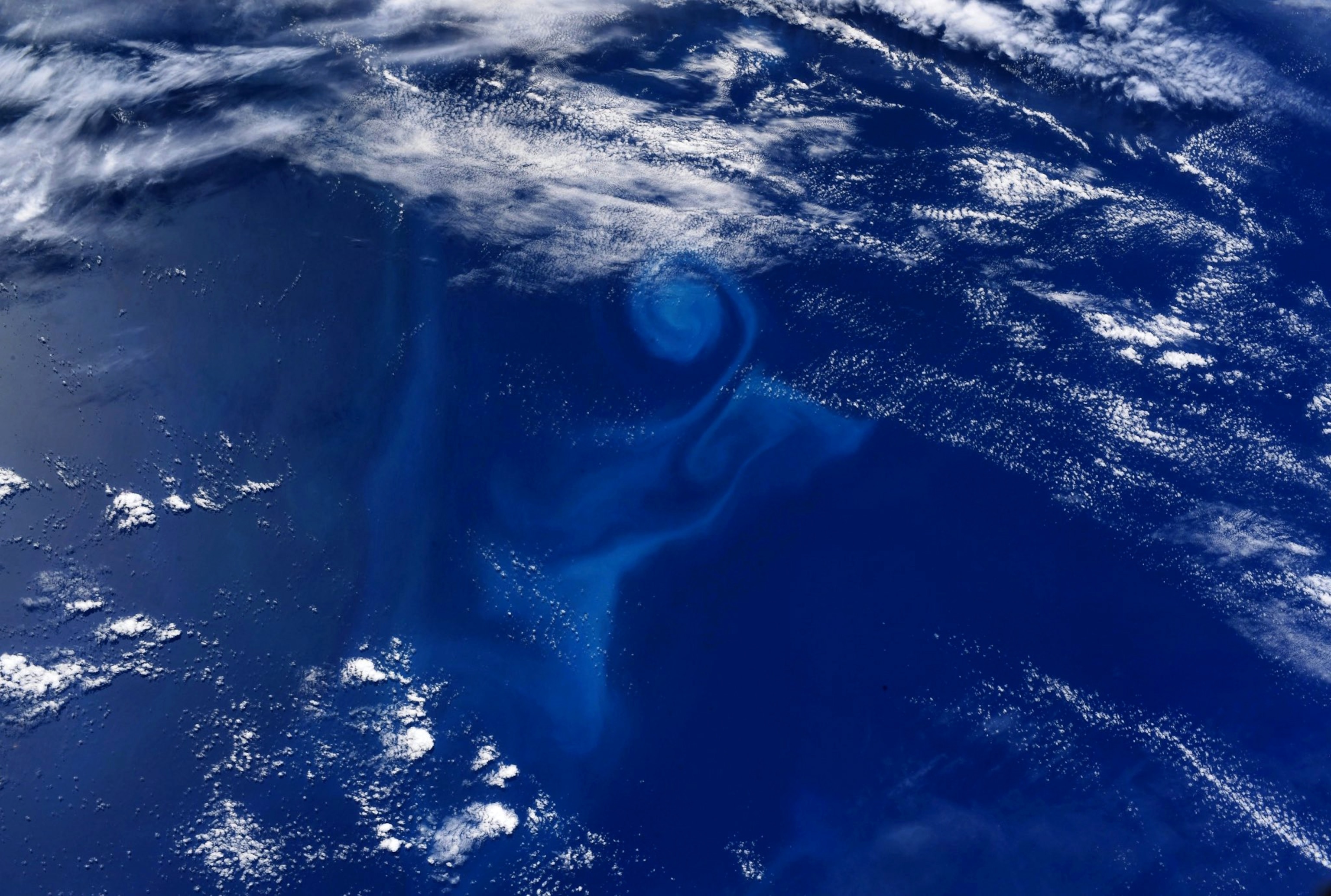 blue swirl in the ocean.