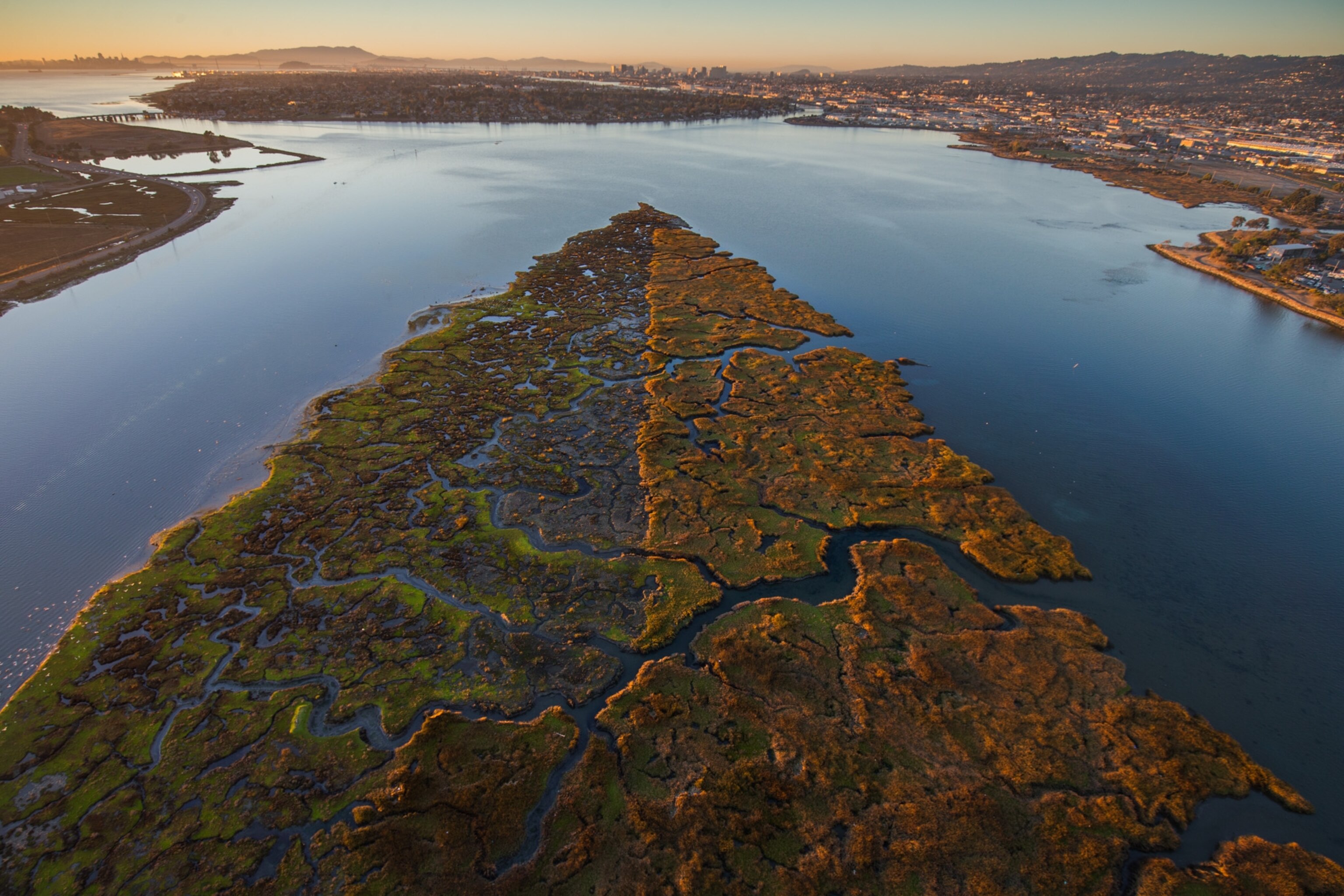 Arrowhead Marsh