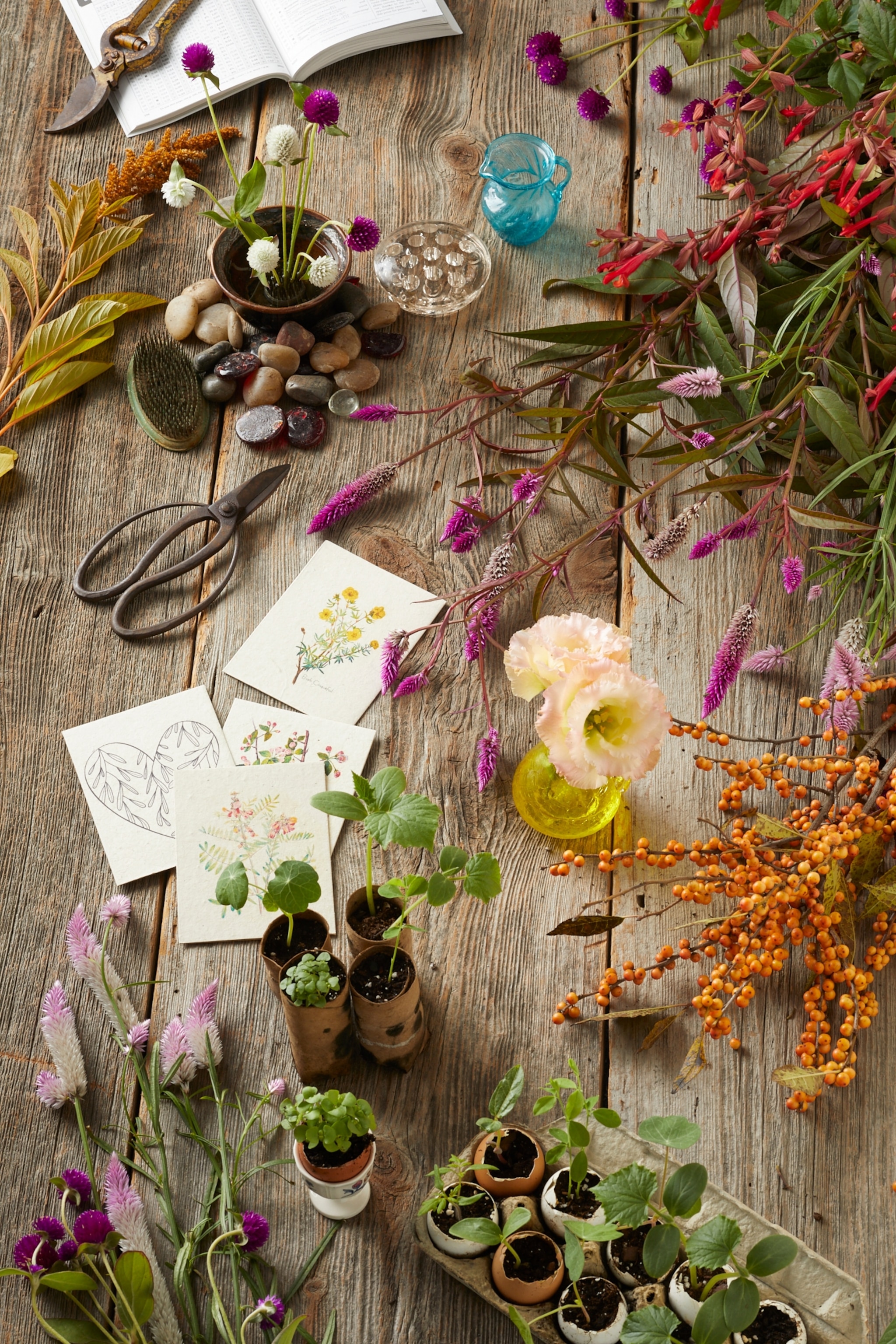 Picture of flowers, vases, garden tools, and seedlings in various small pots on workbench.