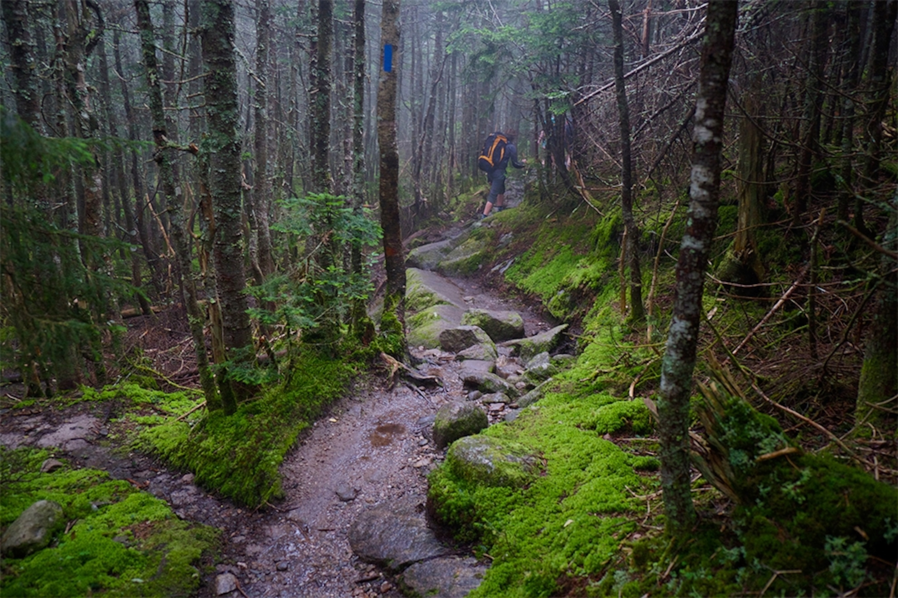 a hiker in the White Mountains of New Hampshire