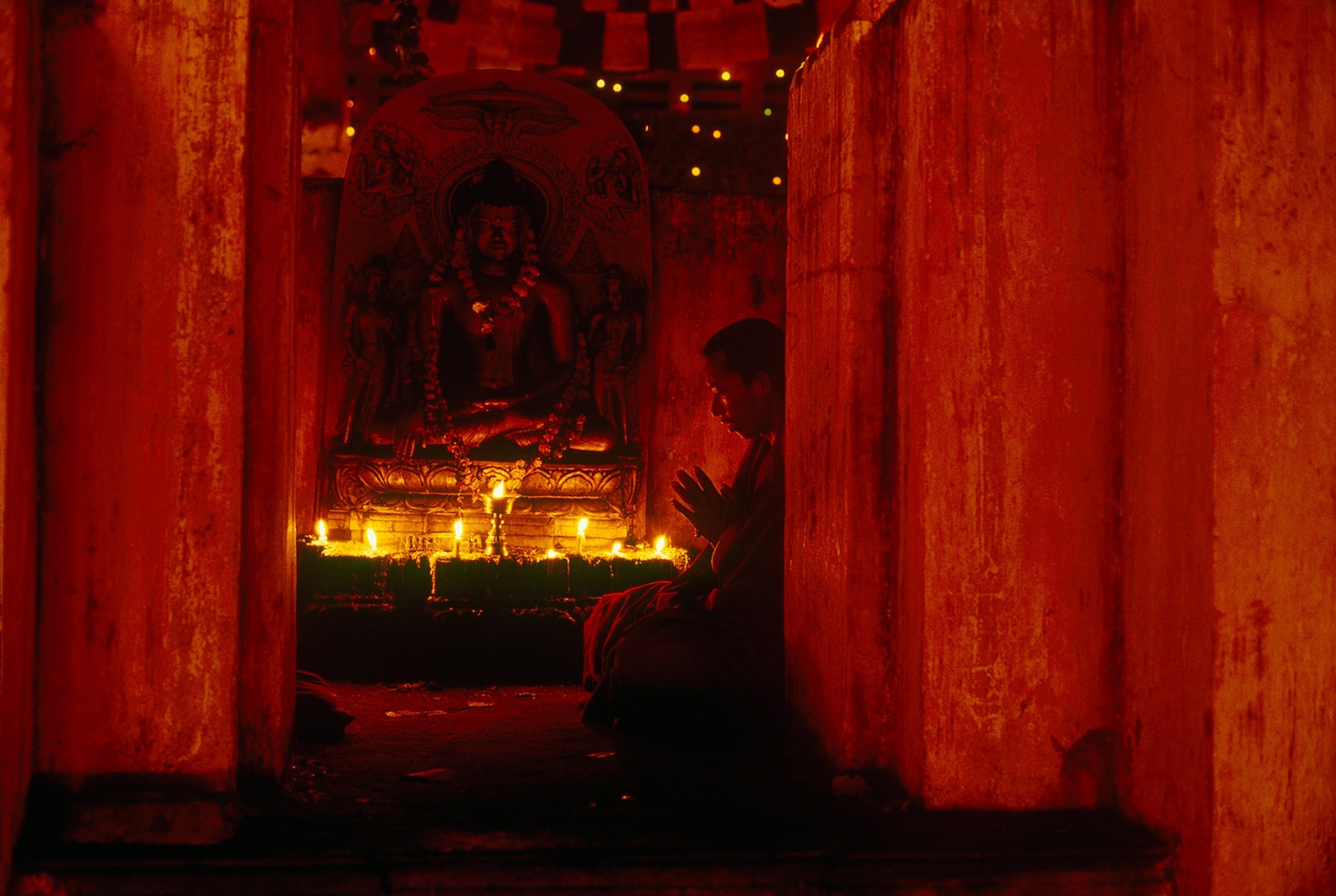 a Tibetan monk meditating at the Mahabodhi Temple