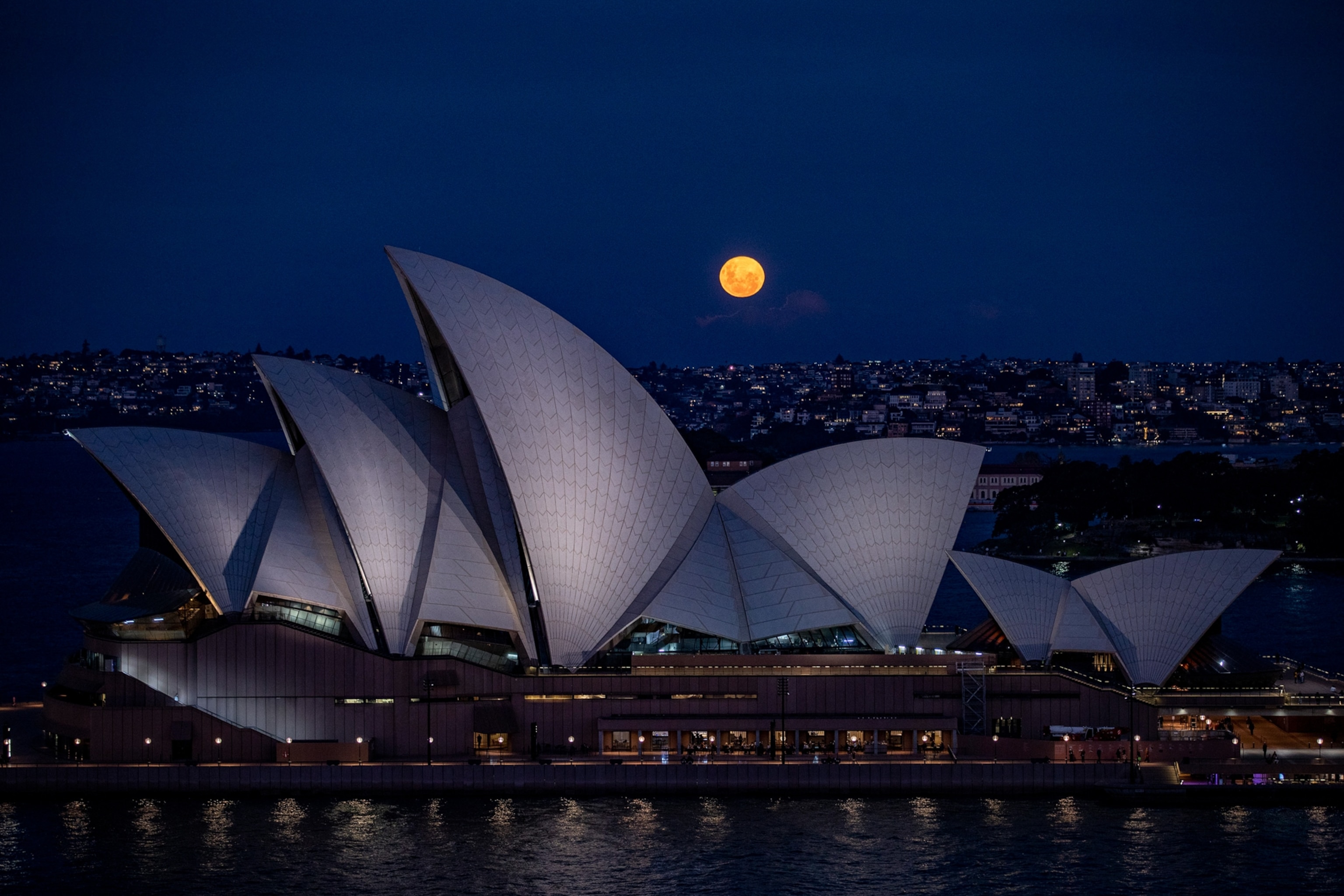 A full moon glowing against a dark blue sky at dusk as it rises behind the Sydney Opera Houses