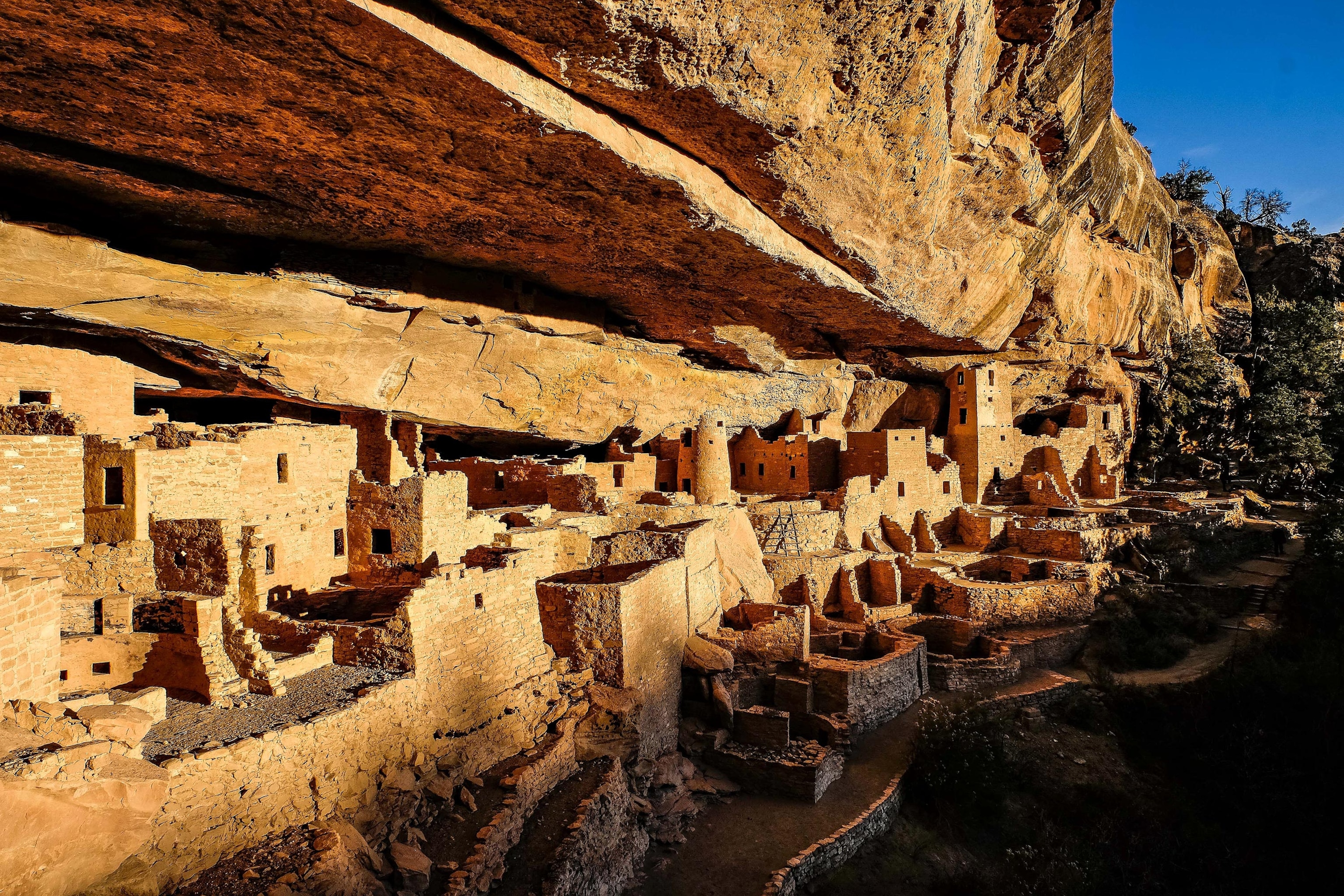 Cliff Palace dwelling in Mesa Verde National Park, Colorado