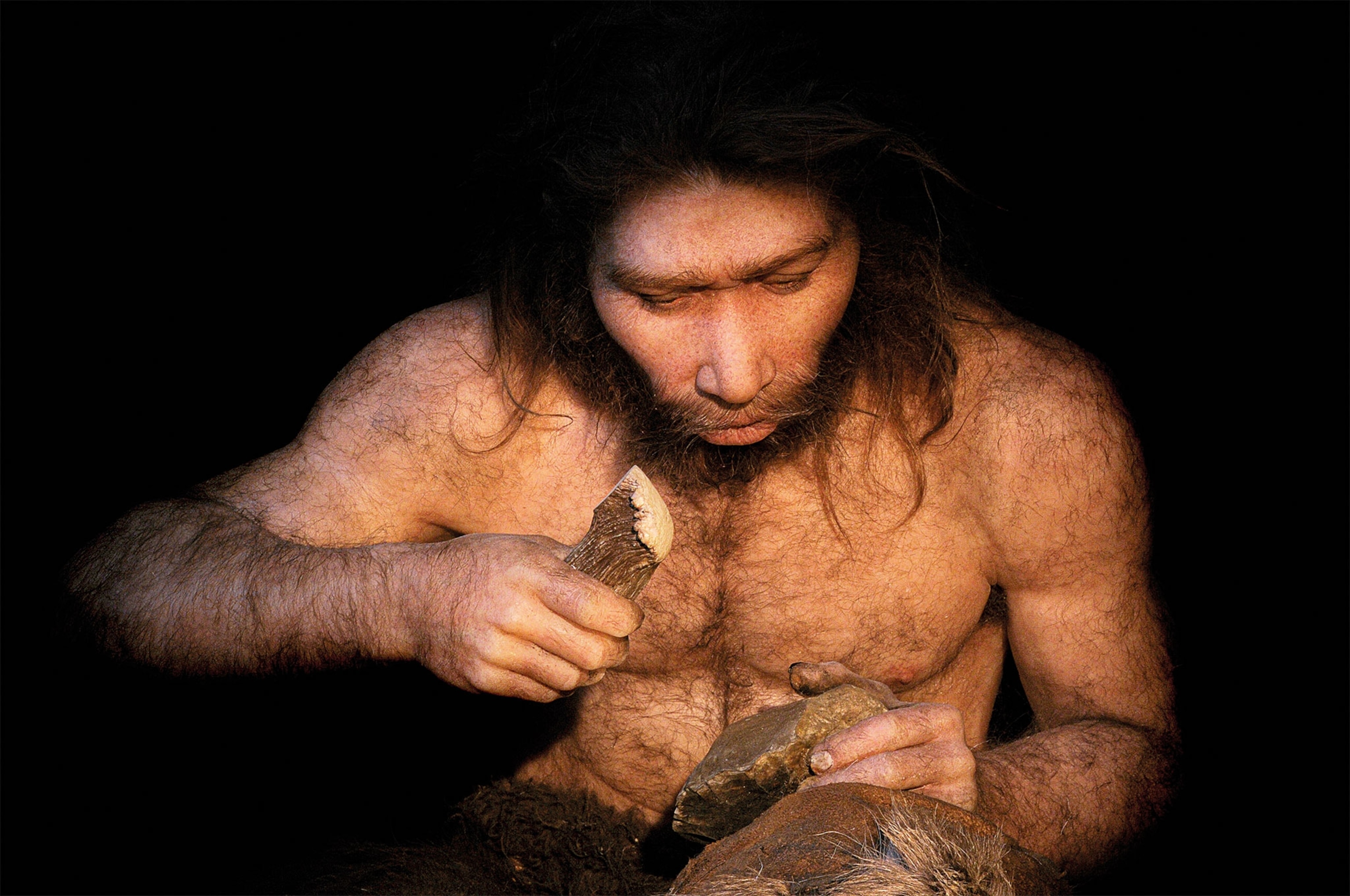A Neanderthal works stone in this reconstruction