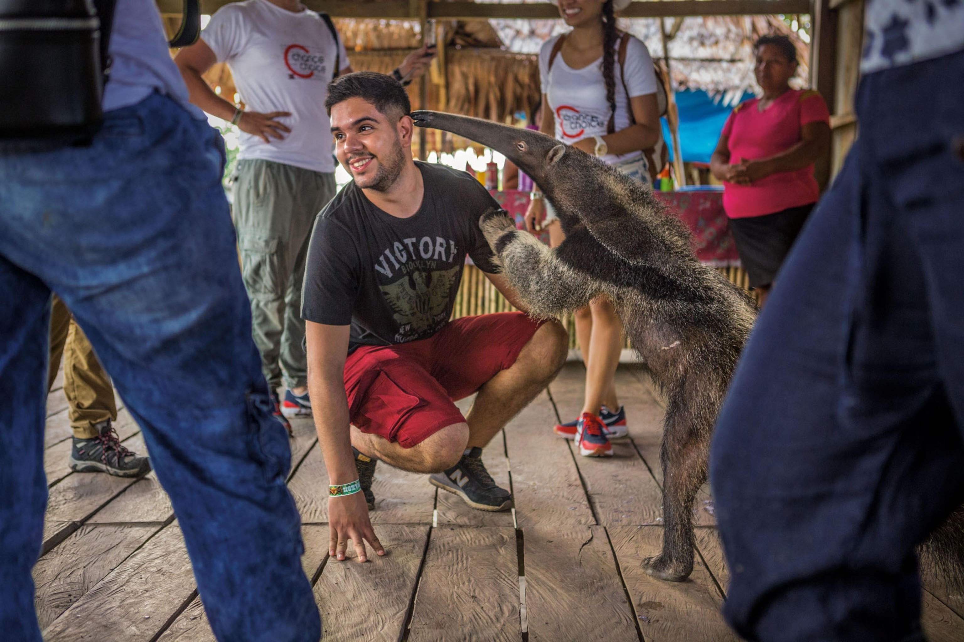people engaging with animals for tourism