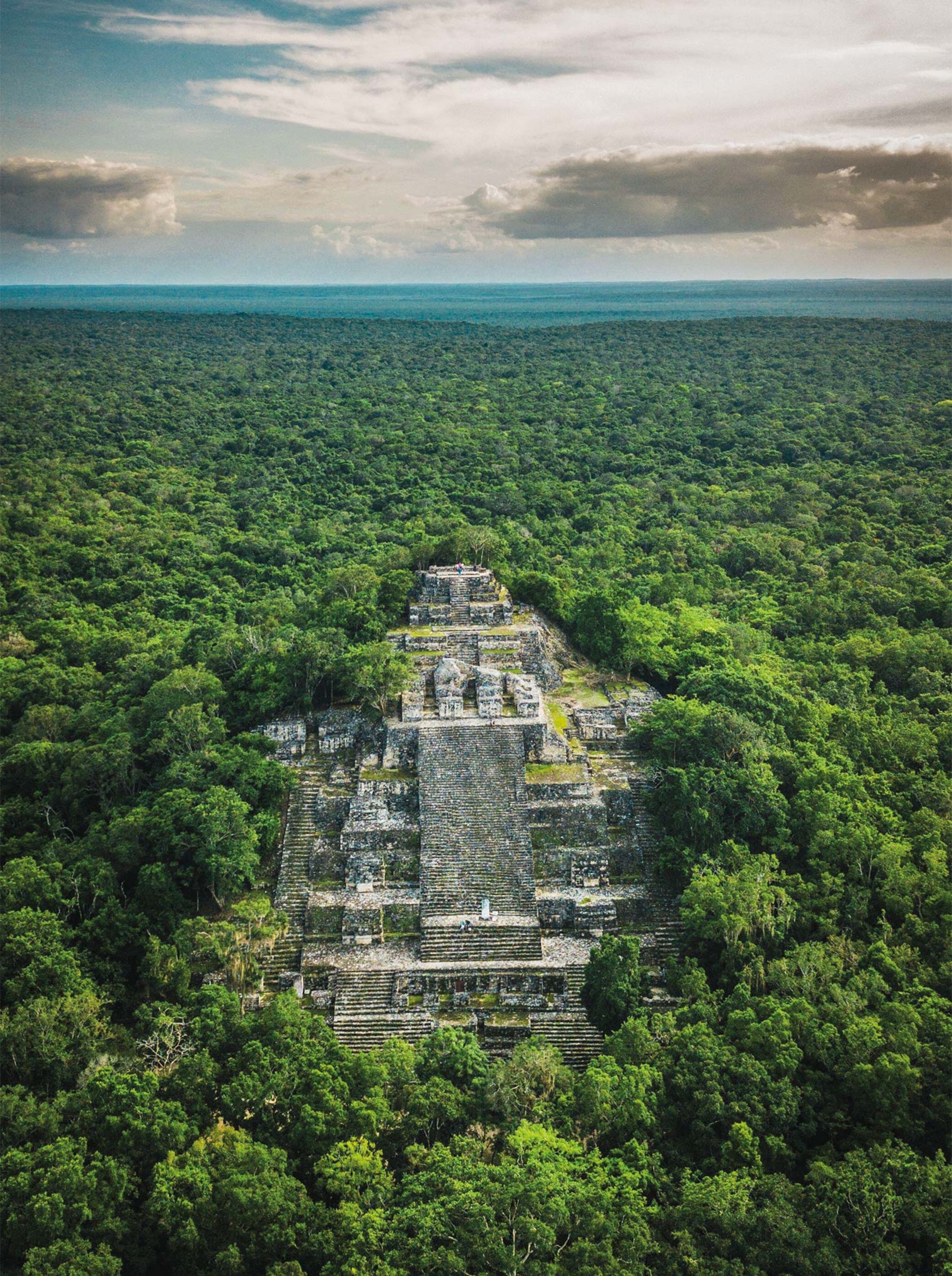 The great pyramid of Calakmul, in the Mexican state of Campeche, peeks out from the lush vegetation growing around it.