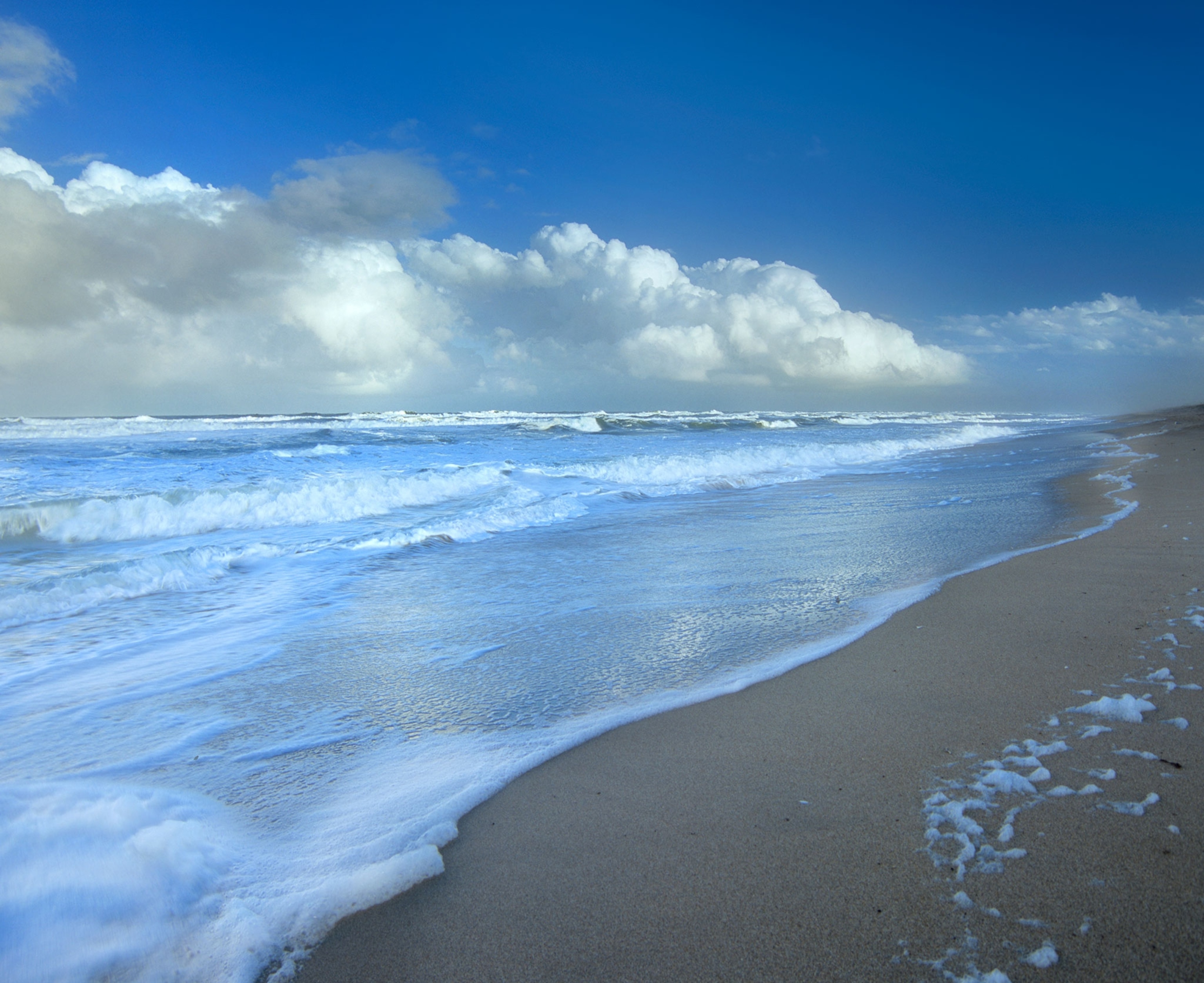 Canaveral National Seashore