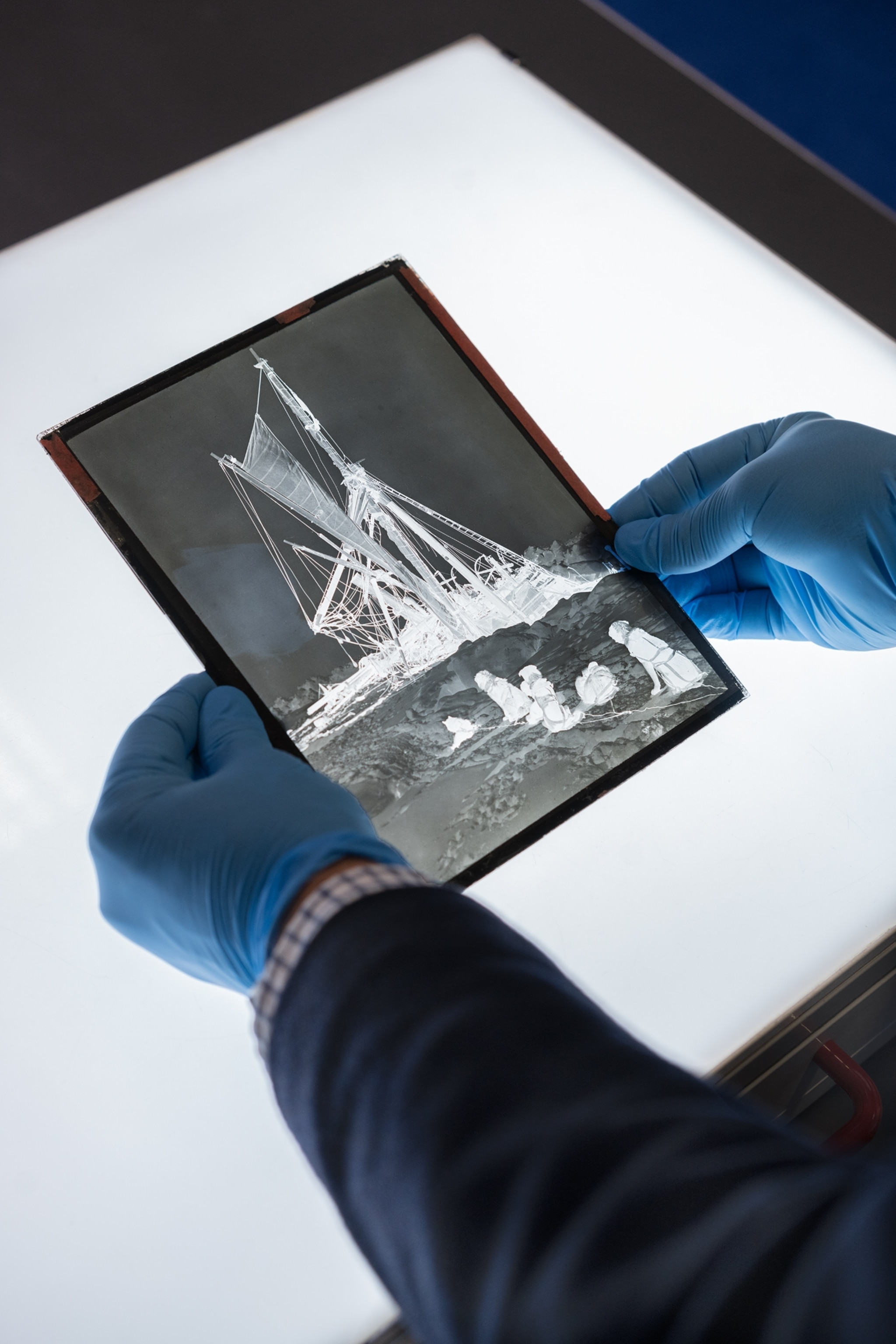 A person wearing blue gloves examines a glass plate negative of an image
