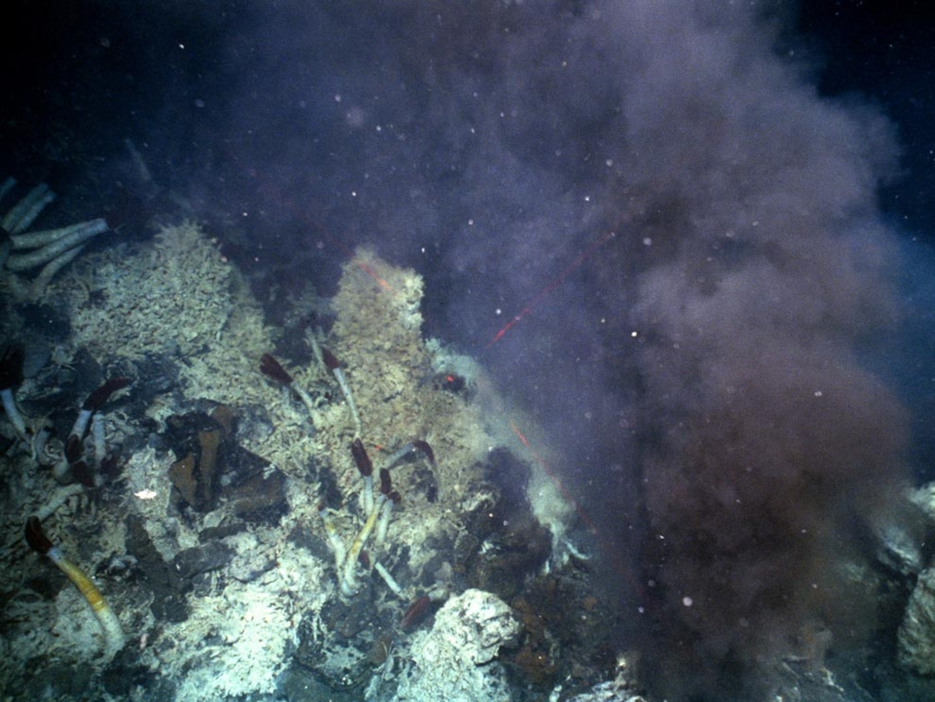 Mineral chimneys off Mexico