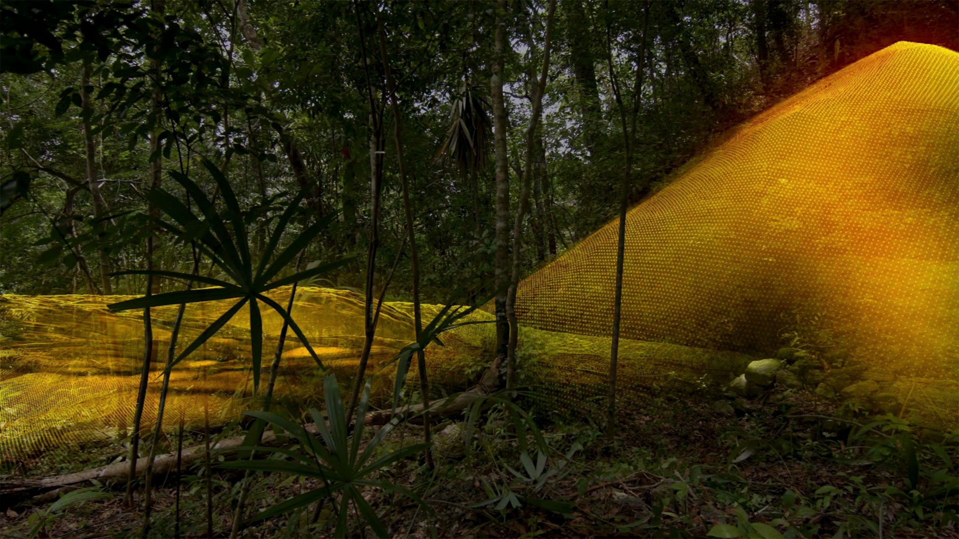 LiDAR scanning
