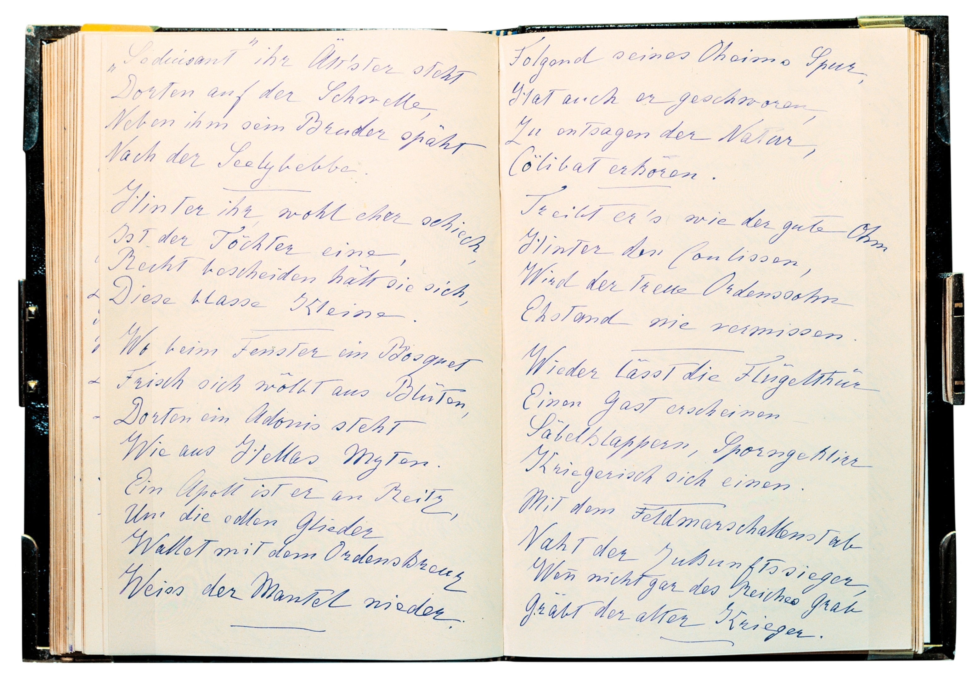 Sisi's journal
