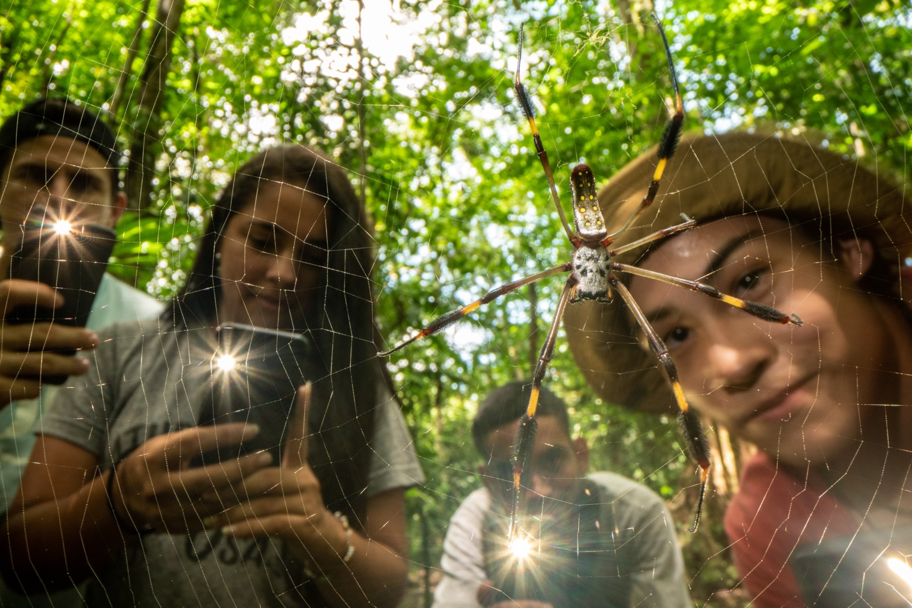 Students stand over spider.