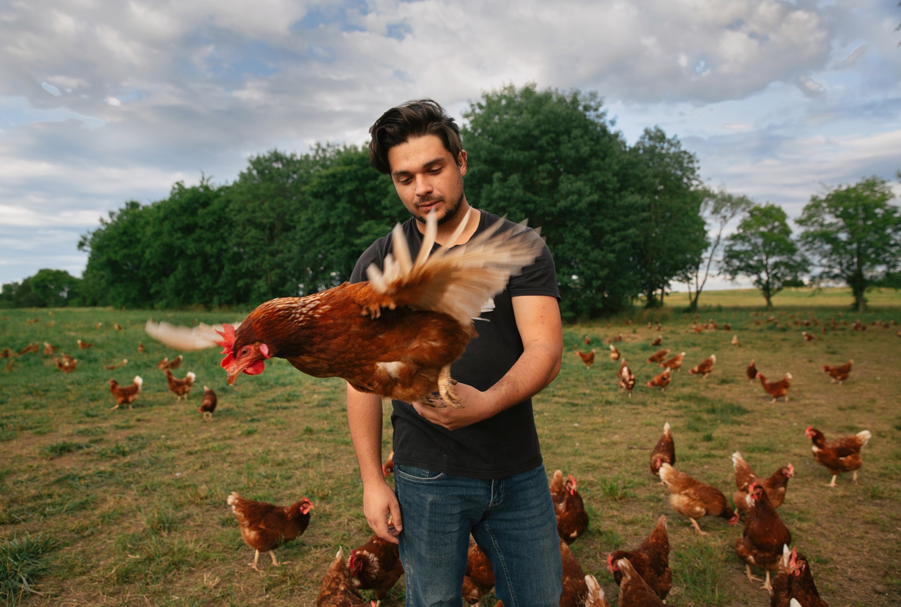 A young man handles a hen for a portrait in the pasture of his farm