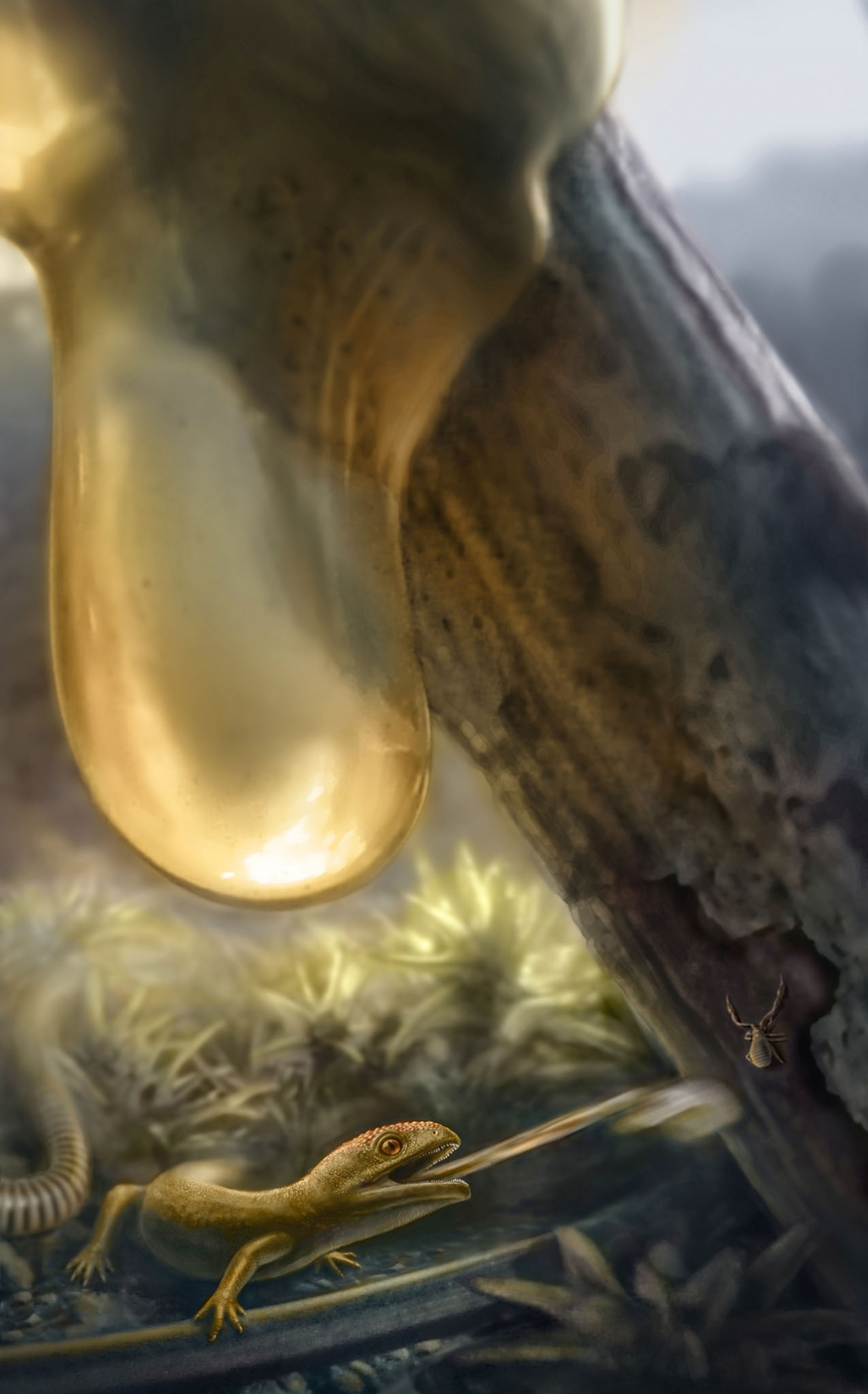 a tiny lizard under falling drop of tree sap.