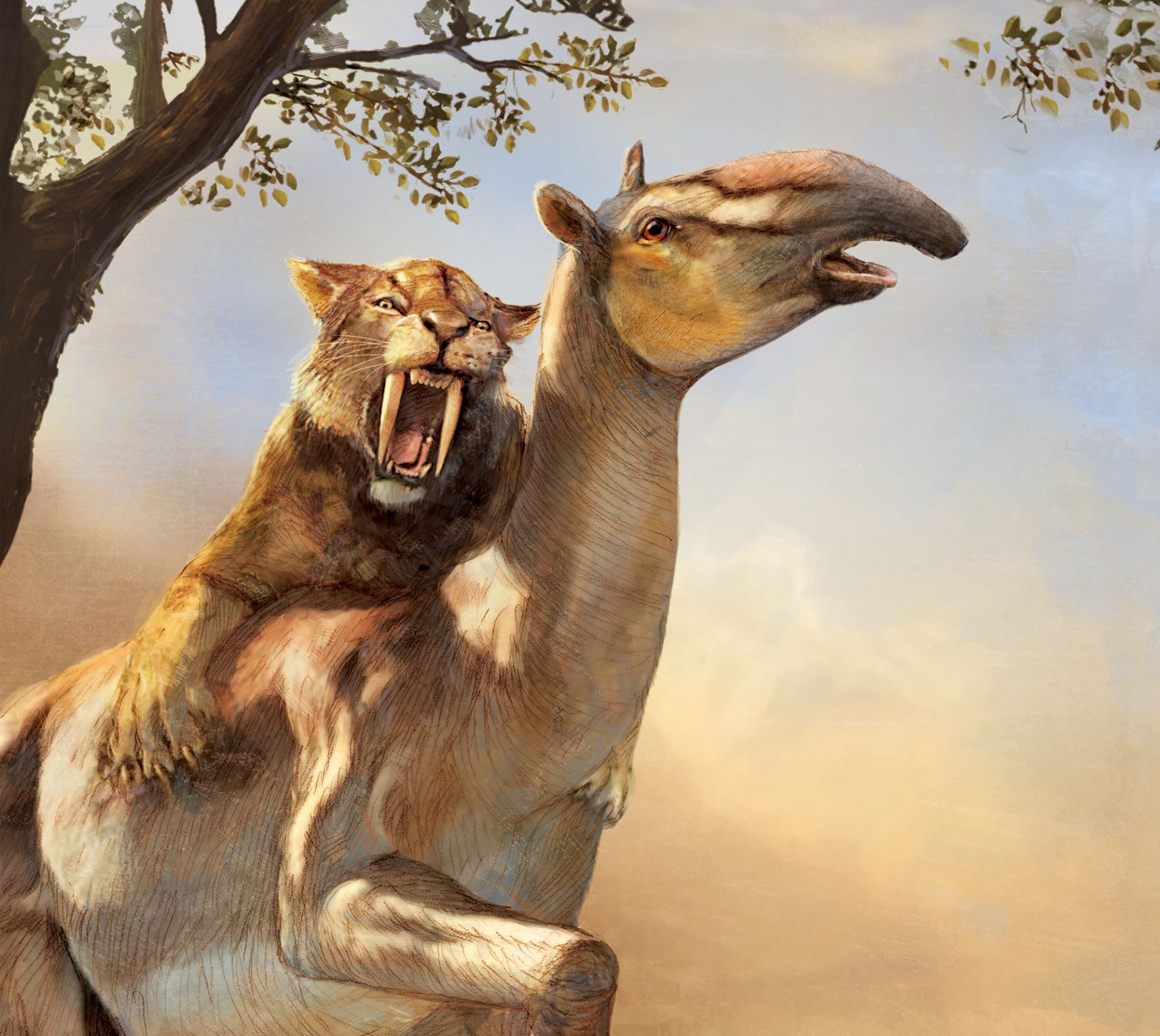 A large cat with giant teeth attacks a large creature