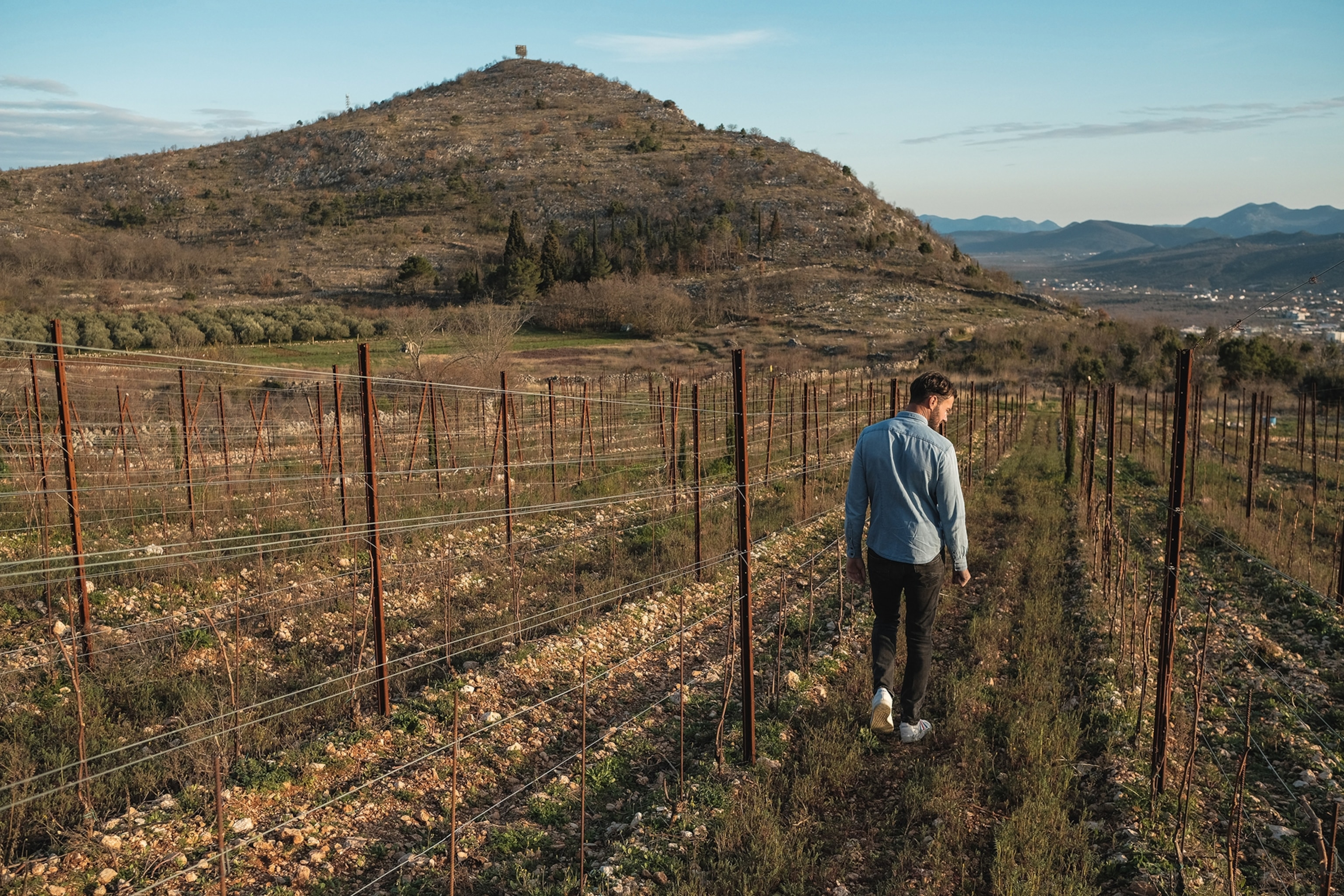Man walking through vineyards surrounded by hills