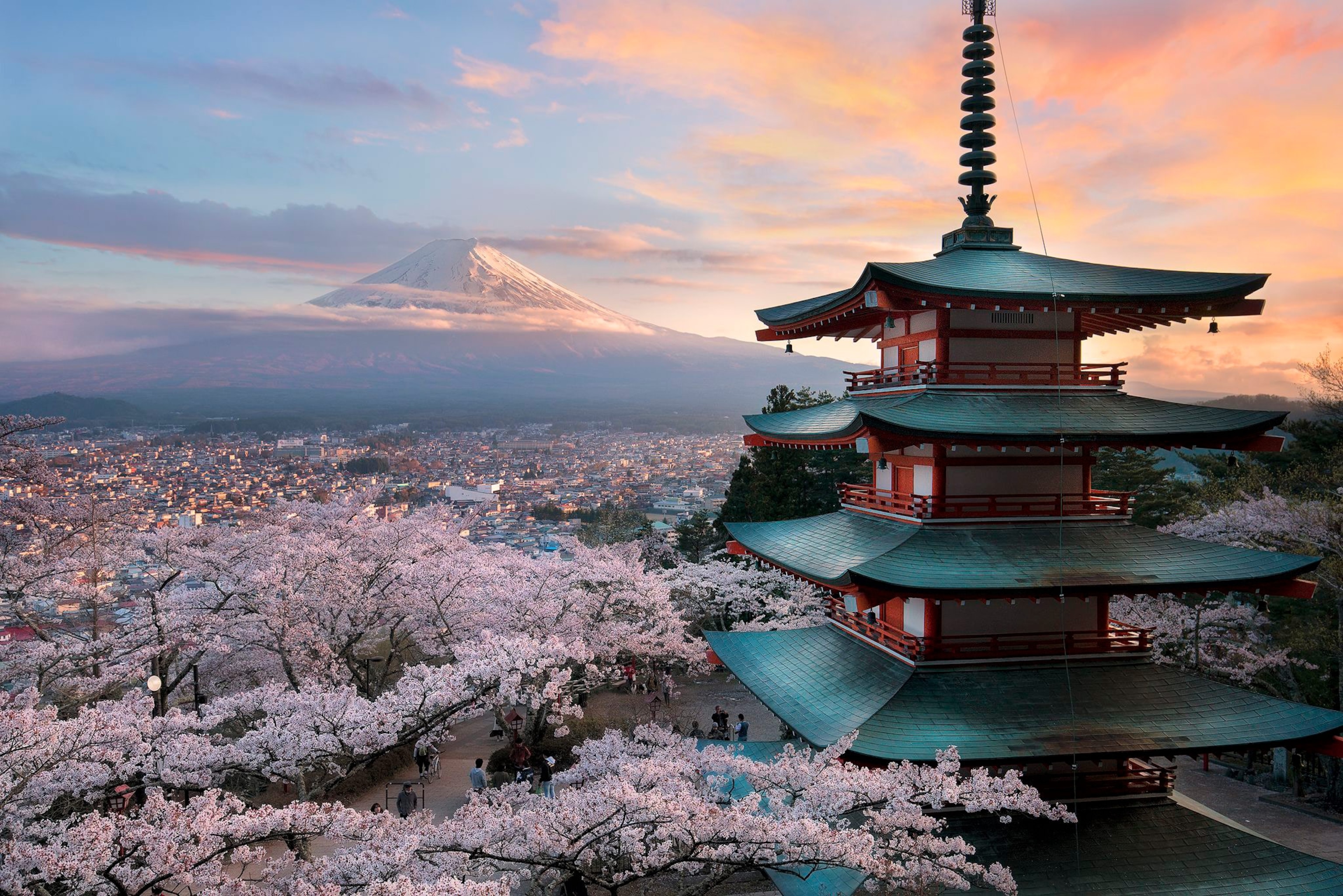Cherry blossoms surround a Japanese building with Mt. Fuji in the background