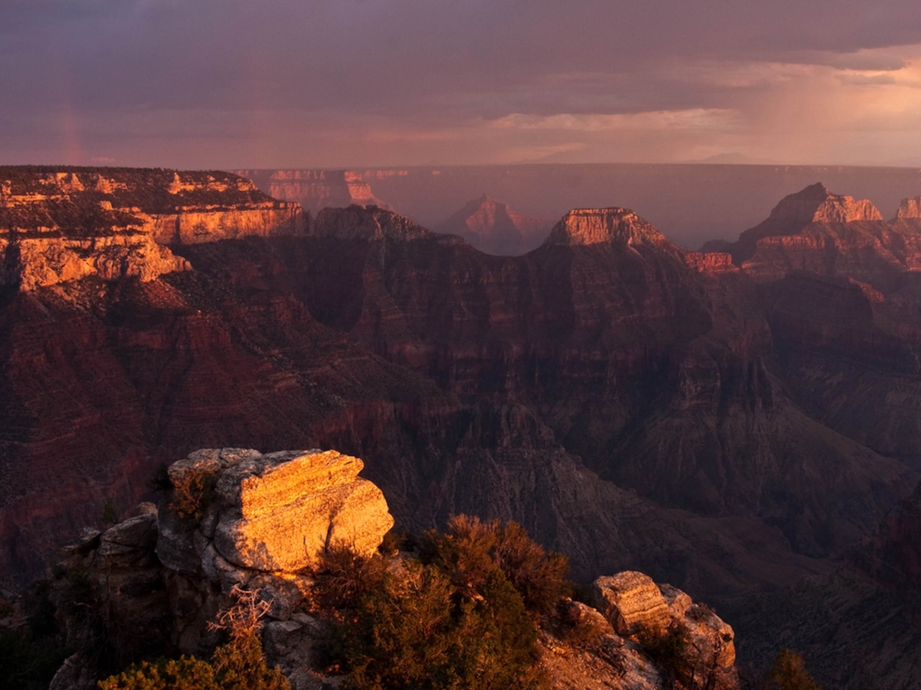 the North Rim of the Grand Canyon